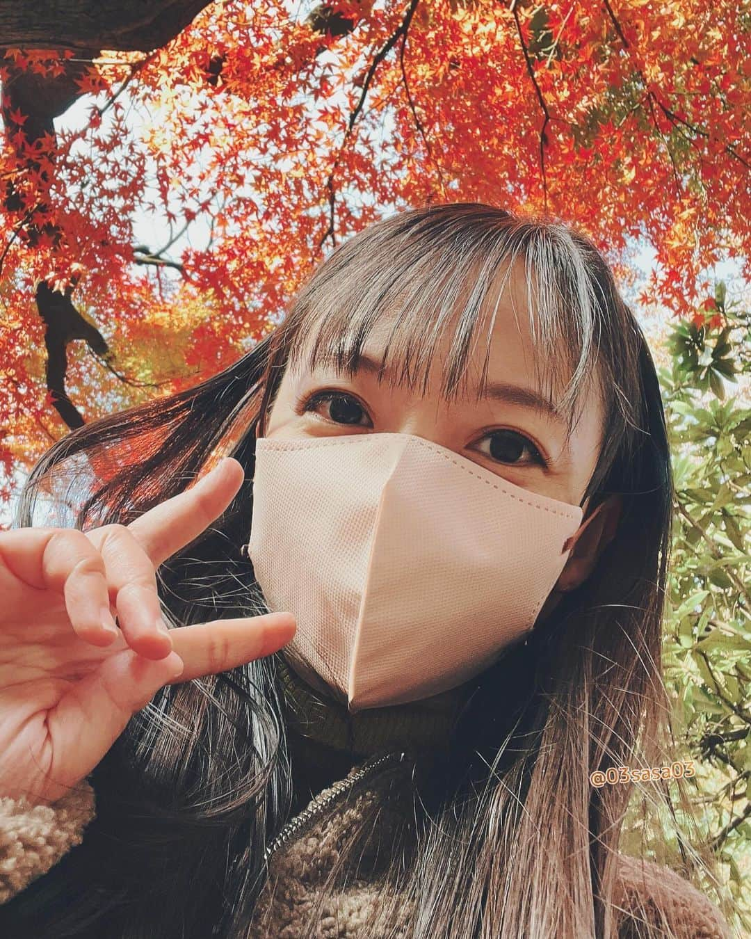 紗々さんのインスタグラム写真 - (紗々Instagram)「紅葉🍁イエイ✌️✨  偶然通りかかっただけですが(ﾟωﾟ)真っ赤だった🍁  #紅葉 #紅葉 #秋 #冬 #autumnleaves」11月30日 11時32分 - 03sasa03