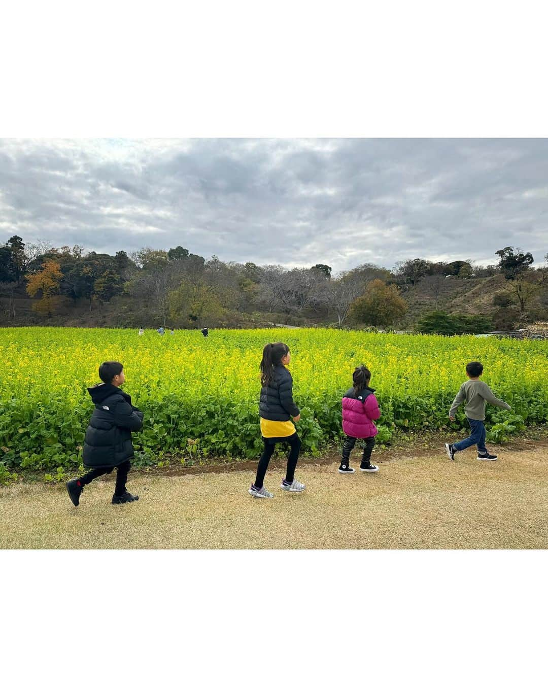 中村明花さんのインスタグラム写真 - (中村明花Instagram)「. 今年もこの季節がやってきました。 #東京ドイツ村 のイルミネーション✨ . 毎年行っているので、ドイツ村のイルミネーションを見ると冬が来たなぁと感じます⛄️ . イルミネーションエリアの広さは東京ドーム約1個分！そこに約300万個の電球が輝くので、もう圧巻！異世界なんです。 . ドイツ村はイルミネーション以外にも一日中遊べる所が沢山なので（むしろ一日じゃ回りきれない）、 お昼過ぎから入って、アトラクションに芝滑り、おもしろ自転車などで遊びなから日が暮れるのを待ちました☺︎ （沢山乗り物乗って遊びたかったら1Dayパスポート買う方が絶対お得だよ） . だんだんと暗くなってくると、一面広がるイルミネーションに『同じ場所なのに違うところに来たみたいだね‼️』と子供達も喜んでいました☺️ . 毎年イルミネーションのテーマも変わるので、それも楽しみなところ＾＾ 観覧車から見ると、歩いていたら分からなかった絵を発見できたりもするんだ♪相変わらず綺麗だったなぁ〜☺️ . たーーーくさん遊んで、最後は疲れてぐずってきたので退散(笑) . 我が家に皆でお泊まりして、楽しい週末を過ごしました♨️ . . #千葉県 #千葉遊び #袖ヶ浦 #martweekender  #家族で過ごす週末 #ときめく週末 #雑誌Mart」11月30日 11時48分 - sayaka_nakamura3