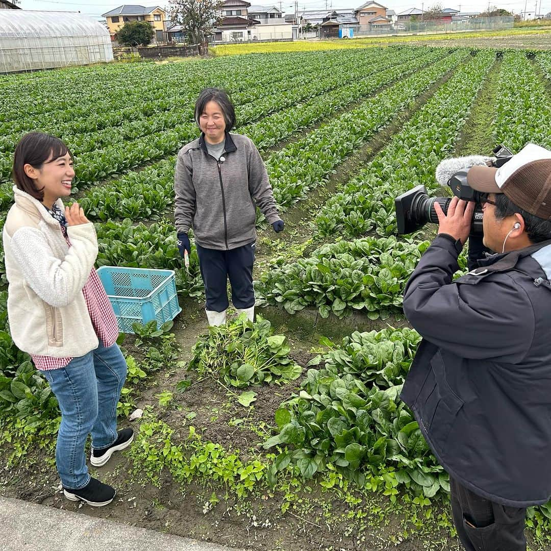 森本晴香さんのインスタグラム写真 - (森本晴香Instagram)「𓂃𓈒꙳𓂂𓏸𓏸꙳𓏸𓂃𓈒𓂂𓏸𓂂𓈒𓏸꙳⋆𓈒𓂂𓂂𓏸𓂃꙳⋆𓈒𓂂𓏸𓂂𓂂𓂂𓈒𓏸⋆𓂃𓈒𓂂𓏸𓈒⋆꙳ ⁡ ⁡ ♡JA名西郡 ほうれん草 ⁡ 四国放送テレビ ゴジカル！ 生放送終了♬ なんと今日は！！ スイーツ予想で一人勝ち😆🩷🩷 まさか四国放送アナウンサー時代にしていた 「ゴジカフェ」の知識が役立つとは😂 嬉しかった〜❤️ ⁡ さて！ 私が担当するJA共済プレゼンツ笑味ちゃん通信ではJA名西郡のほうれん草をご紹介しました！ ⁡ ロケの様子はブログにも詳しく掲載しています✒️ 是非ご覧ください☺️ ⁡ ⁡ @𝗵𝗮𝗿𝘂𝗸𝗮𝗺𝗼𝗿𝗶𝗺𝗼𝘁𝗼 ▲こちらのトップページの𝗨𝗥𝗟から 　ブログに飛べます✈︎ ⁡ ⁡ ⁡ ⁡ ⋆⋆⋆꙳⋆⋆⋆꙳⋆⋆⋆꙳⋆⋆⋆꙳⋆⋆⋆꙳⋆⋆⋆꙳⋆⋆⋆꙳⋆⋆⋆꙳⋆⋆⋆꙳⋆⋆⋆꙳⋆⋆⋆ ⁡ 𝗧𝗮𝗹𝗲𝗻𝘁 𝗼𝗳𝗳𝗶𝗰𝗲 𝗦𝗘𝗥𝗘𝗡𝗢 〜ﾀﾚﾝﾄｵﾌｨｽ ｾﾚｰﾉ〜 ⁡ セレーノはテレビやラジオ等を中心に 四国𝟰県で活躍するタレントが在籍するキャスター系事務所です！ ⁡ ⁡ （株）𝗼𝗳𝗳𝗶𝗰𝗲 𝗦𝗘𝗥𝗘𝗡𝗢 ✒️公式𝗛𝗣 𝗵𝘁𝘁𝗽𝘀://𝗼𝗳𝗳𝗶𝗰𝗲-𝘀𝗲𝗿𝗲𝗻𝗼.𝗰𝗼𝗺 ⁡ トップページの𝗨𝗥𝗟から飛べます✈️ ⁡ ⁡ または 「オフィスセレーノ」で検索🔍 ⁡ ⁡ #アナウンサー #フリーアナウンサー #女子アナ#徳島リポーター#タレント#徳島タレント#徳島フリーアナウンサー#森本晴香 #テレビ #広島#愛媛#徳島#セレーノ#四国キャスター系事務所 #ローカルタレント」11月30日 11時51分 - harukamorimoto