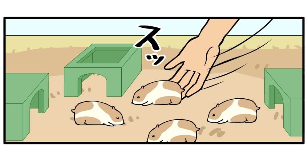 耐え子の日常さんのインスタグラム写真 - (耐え子の日常Instagram)「#耐え子 #日常 #OL #イラスト #まんが #漫画 #マンガ #4コマ漫画 #ギャグ漫画 #コミック #書籍化 #そろそろ谷川 @srsr_tani #再投稿」11月30日 12時00分 - taeko_ol