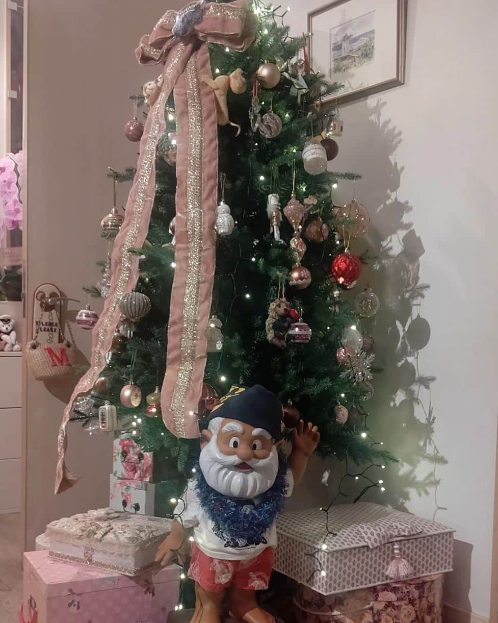 池上季実子さんのインスタグラム写真 - (池上季実子Instagram)「同級生集合❣️ ワイワイ忘年会❣️望年会です❣️ 宏美の(岩崎宏美さん)のお家にサッコ(伊藤咲子さん)と伺いました。 お鍋つつきながら、いつもの事ながら、喋る✨笑う喋る✨笑う✨超弾丸talk‼️ あんな事やこんな事、3人だけの内緒話いーっぱい‼️どんな話かって？決して教えられません(笑) デビューと頃から、10代から知り合って約50年のお付き合い❣️本当に有難い事です。 「3人で何か仕事やりたいねー」とか(まだ一度も3人で仕事がした事が無いのです)、 「3人でゴルフ行きたいねー」とか、 まだまだ、やりたい事もいっぱいです。 これからも元気に末長くお付き合いしたい大切な大切な友人達です。 宏美の誕生日プレゼント🎂にシンバくん(溺愛犬)のベッドを！シンバくん、気に入ってくれた様で良かったわ～🤗  #岩崎宏美 #伊藤咲子  #同級生  #ダックスフンド  #誕生日プレゼント」11月30日 12時27分 - kimiko_ikegami_actress_japan