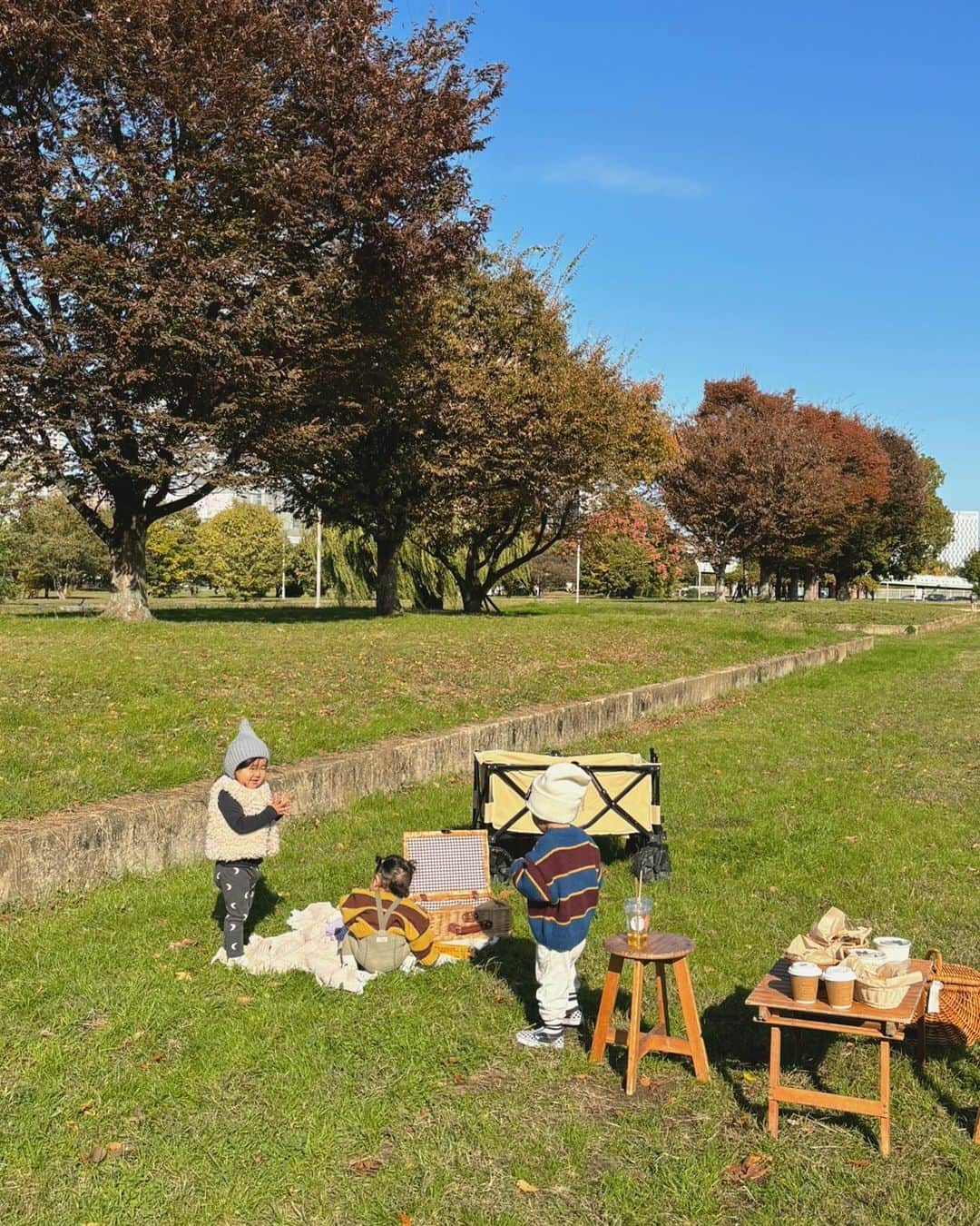 かしめぐのインスタグラム：「picnic day🧺  @asakara_goodstore   #picnic #ピクニック #大阪モーニング  #asakaragoodstore」