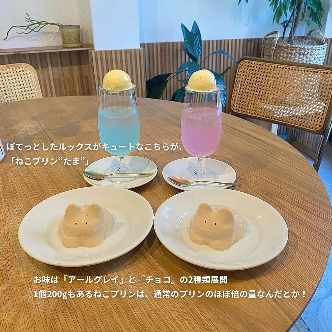 isutaさんのインスタグラム写真 - (isutaInstagram)「お皿の上でぷるぷると揺れる「ねこプリン」って知ってる？韓国で話題の「ねこプリン」は、日本でもブームになる予感のデザートメニュー🐈   SNSではプリンを揺らす動画が人気を集めており、勢いよく動くねこプリンに思わず心を奪われてしまうかも…。そんな「ねこプリン」を食べられるカフェが、ついに日本でも登場したよ◎  今回は、ねこプリンが食べられる東京・蔵前の「marble（マーブル）」をご紹介！  @marble_tokyo  [marble] 住所：東京都台東区蔵前4-1-4 営業時間：12:00～19:00（L.O. 18:30） 定休日：なし  ※お店の営業時間等は変更になる場合がございます。最新情報は公式インスタグラムなどをご確認ください。  ✄————————✄  姉妹アカウント @i_am_isuta も更新中  isuta編集部の日常のひとコマや 取材の最新レポを発信しているよ️˖°  ほかにも、エディターが気になる カフェやファッション、コスメをご紹介.・* ぜひフォローしてね️  ✄————————✄  #isuta #isutapic #isutacafe #marble#ねこプリン#プリン巡り #プリン好き#プリン好きな人と繋がりたい #蔵前カフェ#蔵前#蔵前グルメ#蔵前さんぽ #蔵前カフェ巡り#クリームソーダ#クリームソーダ #かわいいスイーツ#東京カフェ #東京カフェ巡り #東京カフェ部 #東京カフェめぐり#東京カフェ散歩 #東京カフェ日記#カフェ巡り#カフェ好きな人と繋がりたい #カフェ部 #カフェ活 #カフェタイム#カフェスタグラム #お酒すきな人と繋がりたい#猫スイーツ」11月30日 12時31分 - isuta_jp