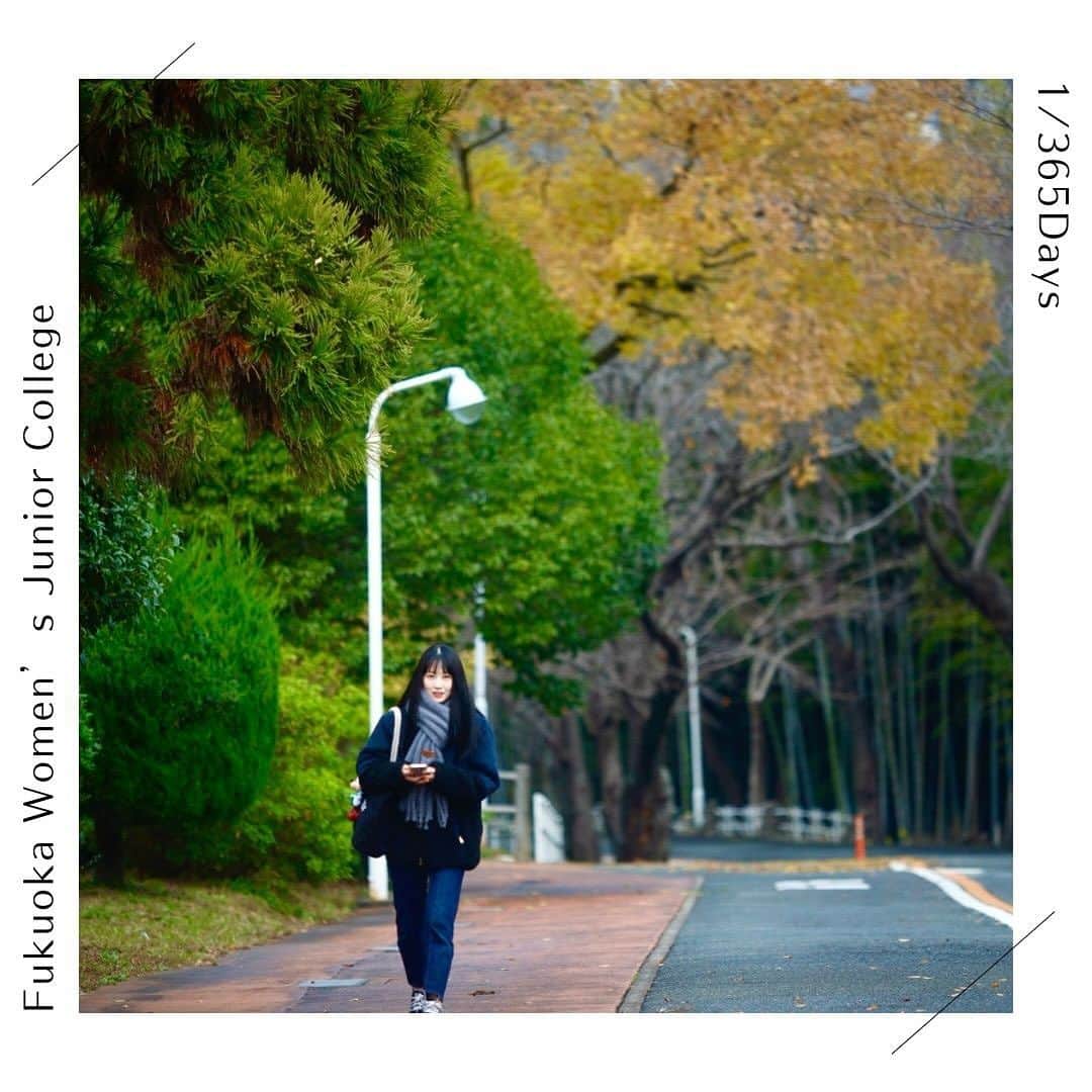 福岡女子短期大学さんのインスタグラム写真 - (福岡女子短期大学Instagram)「💠1/365 Days  こんにちは、福岡女子短期大学です。 キャンパス内の紅葉は今が見頃🍁 今朝通学風景と一緒に撮影しました。 撮影に協力いただいた皆さん ありがとうございました。  この投稿をご覧になって 「いいね👍」「役に立った」と思われた方は、  @fukuoka_wjc をフォローをお願いします🥺  ========[ お知らせ ]======== 福岡女子短期大学の資料 （大学案内📕学生募集要項）を 無料送付中です。 プロフィールのリンクから お気軽に申し込みください🌟 =========================  子ども学科/健康栄養学科 音楽科/文化教養学科  福岡女子短期大学 住所：‪‪‪‪福岡県太宰府市五条四丁目16番‬1号‬‬‬ tel：‪‪‪092-922-4034‬‬‬（代表)  #福岡女子短期大学 #ストリートスナップ #紅葉2023　#スナップ写真  #写真好きな人と繋がりたい  #ダレカニミセタイケシキ  #イマソラ #写真好きな人と繋がりたい #アオハル　#通学 #青春フォトグラフ」11月30日 12時34分 - fukuoka_wjc