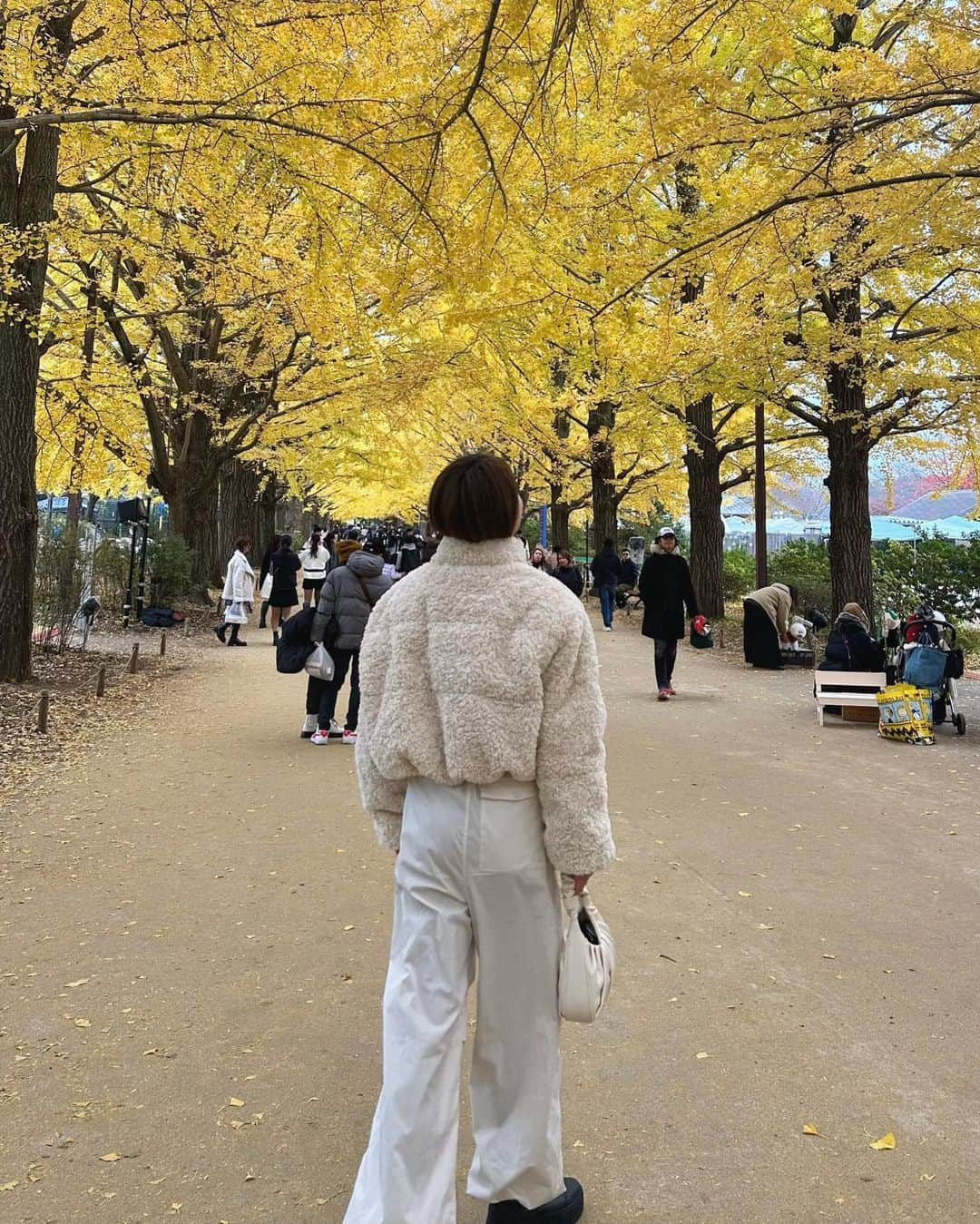 藤野結衣さんのインスタグラム写真 - (藤野結衣Instagram)「ぎりぎり見れた紅葉🍁🌝  日本は四季が素晴らしいなと再確認🫰 最近じっくり神社、お寺とかも巡りたいなと思う⛩ . . . . #いちょう並木 #紅葉 #昭和記念公園 #秋コーデ」11月30日 12時39分 - yui_fujino