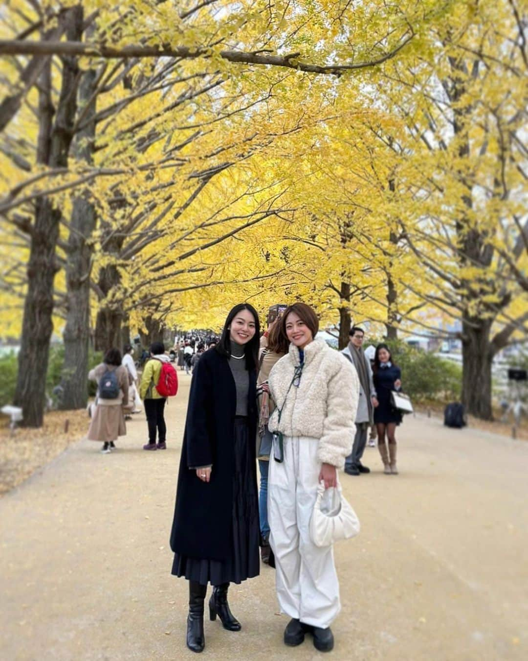 藤野結衣さんのインスタグラム写真 - (藤野結衣Instagram)「ぎりぎり見れた紅葉🍁🌝  日本は四季が素晴らしいなと再確認🫰 最近じっくり神社、お寺とかも巡りたいなと思う⛩ . . . . #いちょう並木 #紅葉 #昭和記念公園 #秋コーデ」11月30日 12時39分 - yui_fujino