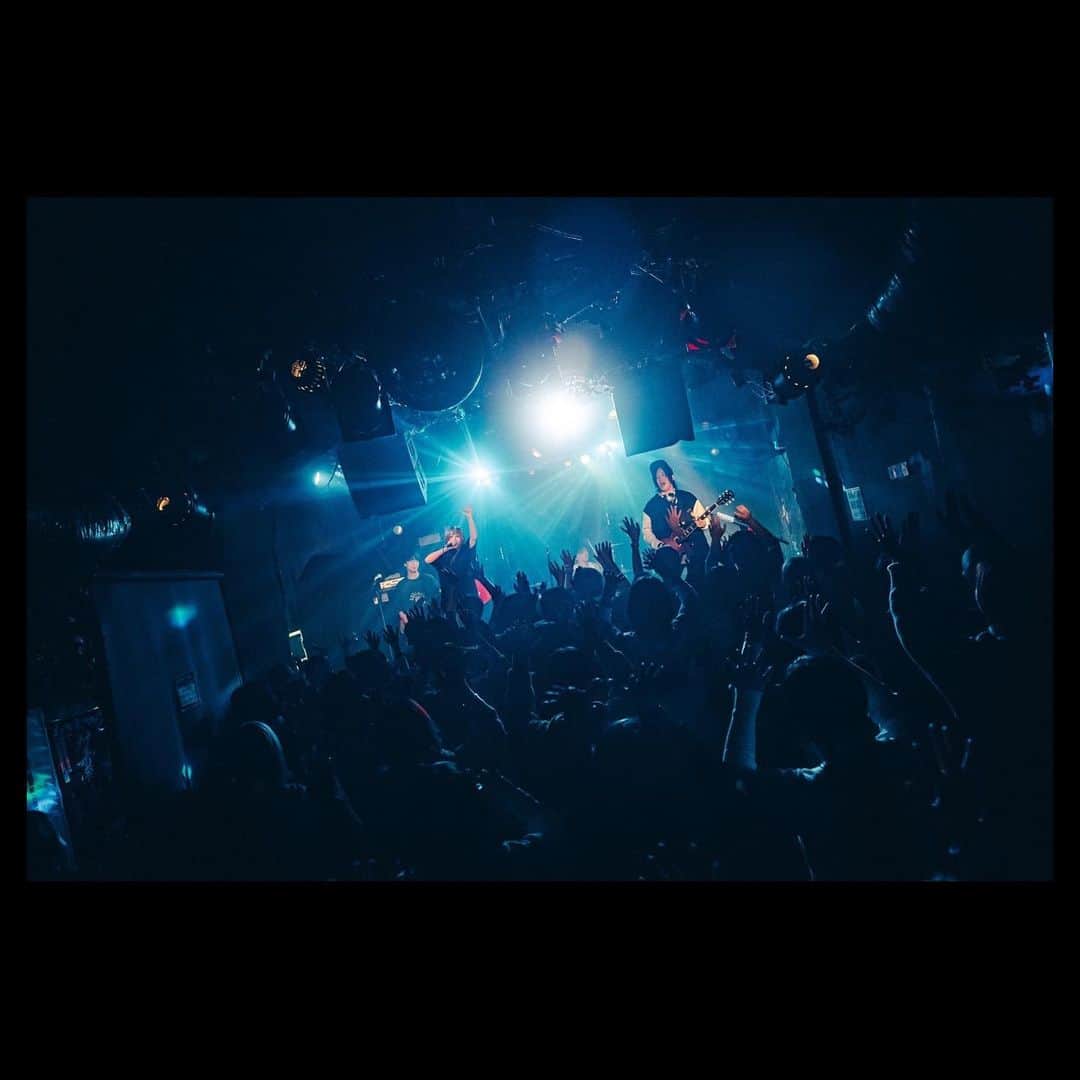 MOSHIMOさんのインスタグラム写真 - (MOSHIMOInstagram)「. 2023.11.20 「モシパカセゾン」 music zoo KOBE 太陽と虎  photo by @teru_ttm」11月30日 12時51分 - moshimo_band