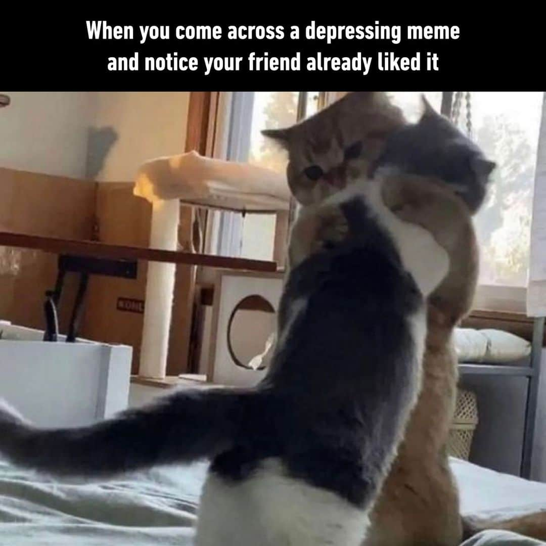 9GAGのインスタグラム：「🫂  - #same #relatable #depressingmemes #friends #memes #9gag」