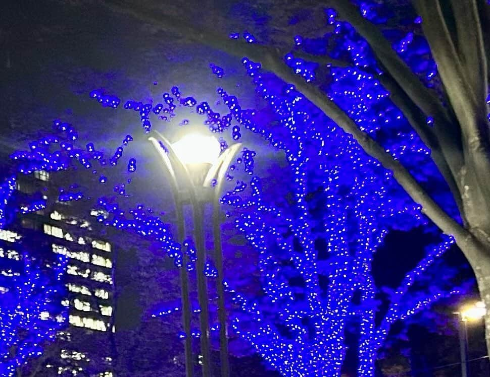 土屋眞弓のインスタグラム：「代々木公園 青の洞窟というネーミングの青のイルミネーション🩵✨✨✨ 冬を感じる瞬間 車窓から  #イルミネーション」