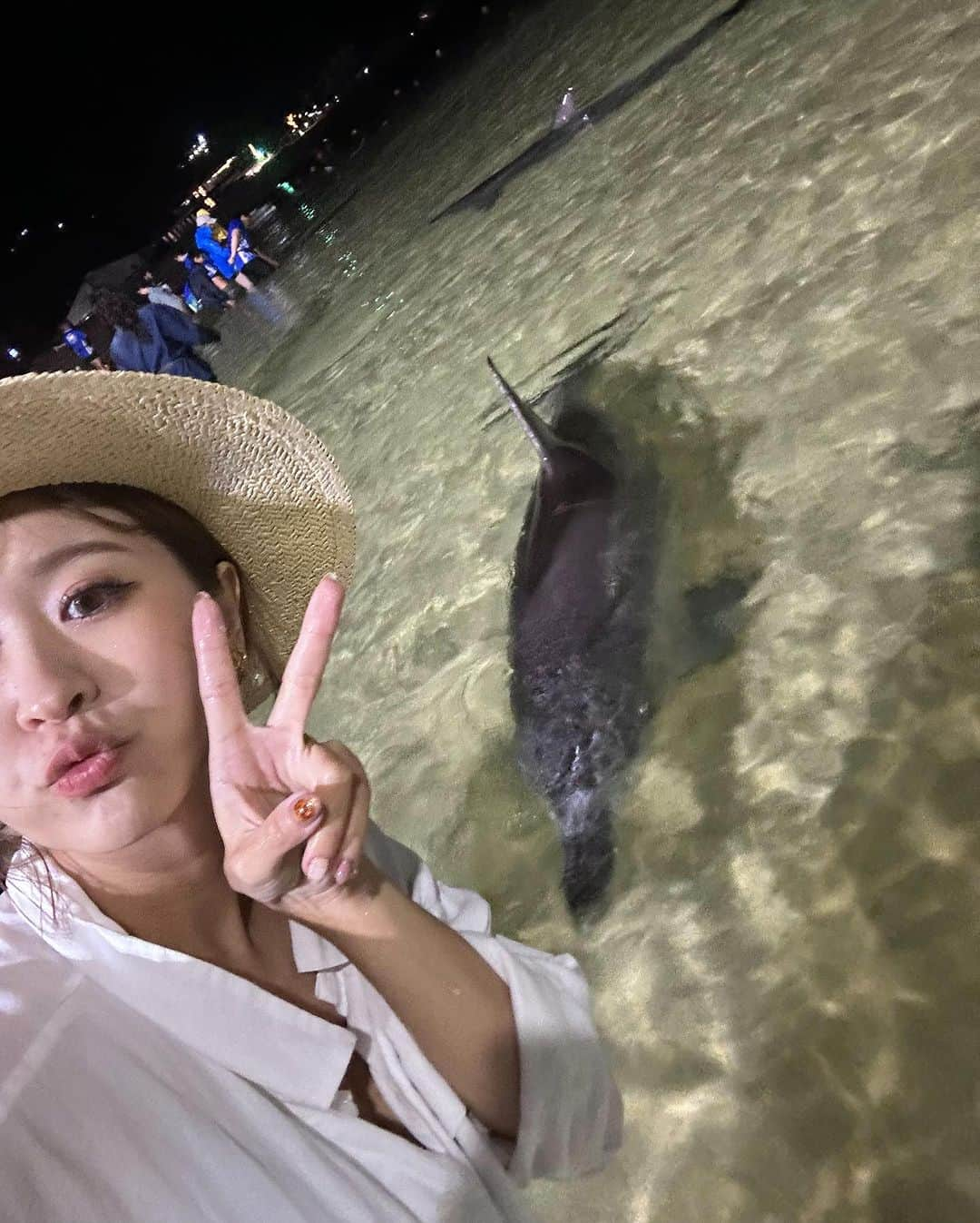 郭圈圈さんのインスタグラム写真 - (郭圈圈Instagram)「餵野生海豚🐬初體驗🥰🥰🥰 太可愛了啦😍 可以說是來 #摩頓島 的必參加活動 （也可以在旁邊棧板上觀看海豚） （餵食海豚的費用比沒有的大概多了$1300） - 由於當天天氣不佳⋯整個下午真的超無聊 還很擔心下雨海豚會不會不來～🥹 （海豚是野生的，沒來的話也不會退款喔） 幸好最後有來～雖然天氣很冷還要下海🤣（大概不到20度+海風+我穿得很夏天）但還是很值得😍😍😍 （建議大家有要去的話記得穿短褲或短裙唷！穿長裙的話應該蠻悲劇🫠）（我想說我裙子應該夠短了，結果我腿更短🤣幸好內褲沒濕） - 第二個影片是我的餵海豚視角🐬 真的好近喔🥰（聽說我在跟海豚自拍的時候，岸上的人都覺得我很有趣🤣） 第三個是阿恩在岸上幫我拍的💙 謝謝老公帶我們母子倆去看海豚😘 - 我們這行程是在trip.com上面訂的 也給大家參考唷🚢 去程是很大台很穩開很慢的郵輪 回程的船我們搭到的是小船 比去程的晃但也比較快」11月30日 13時13分 - helloiamlea