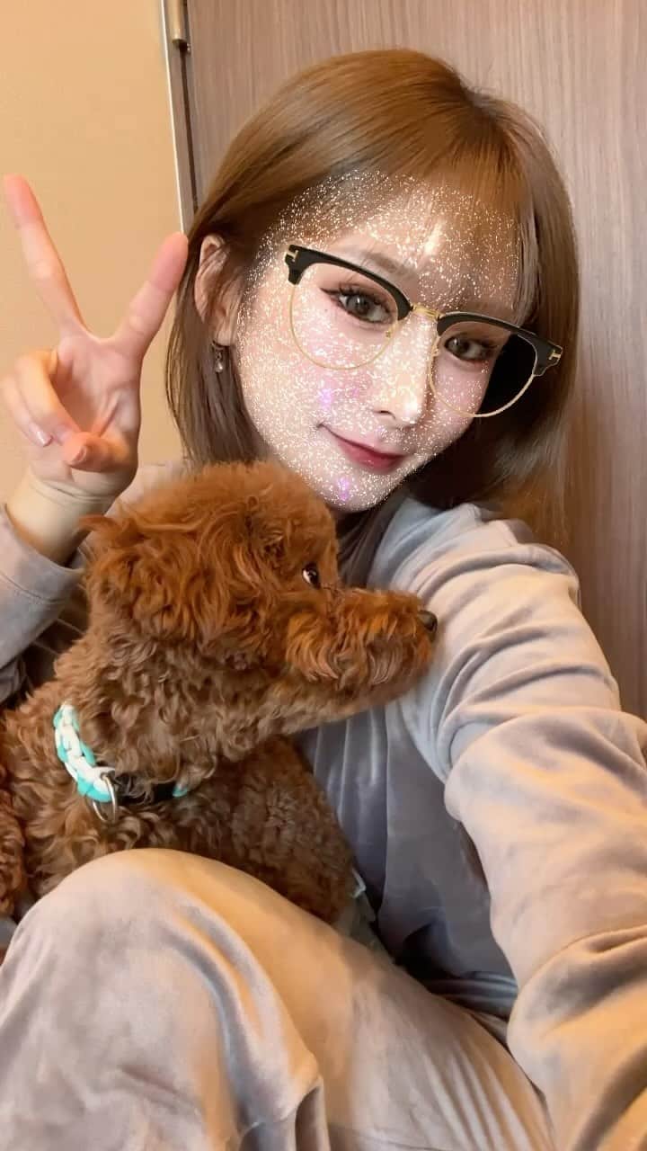 NANAのインスタグラム：「将来はお金持ちに飼われるネコになりたいナ🐈‍⬛」