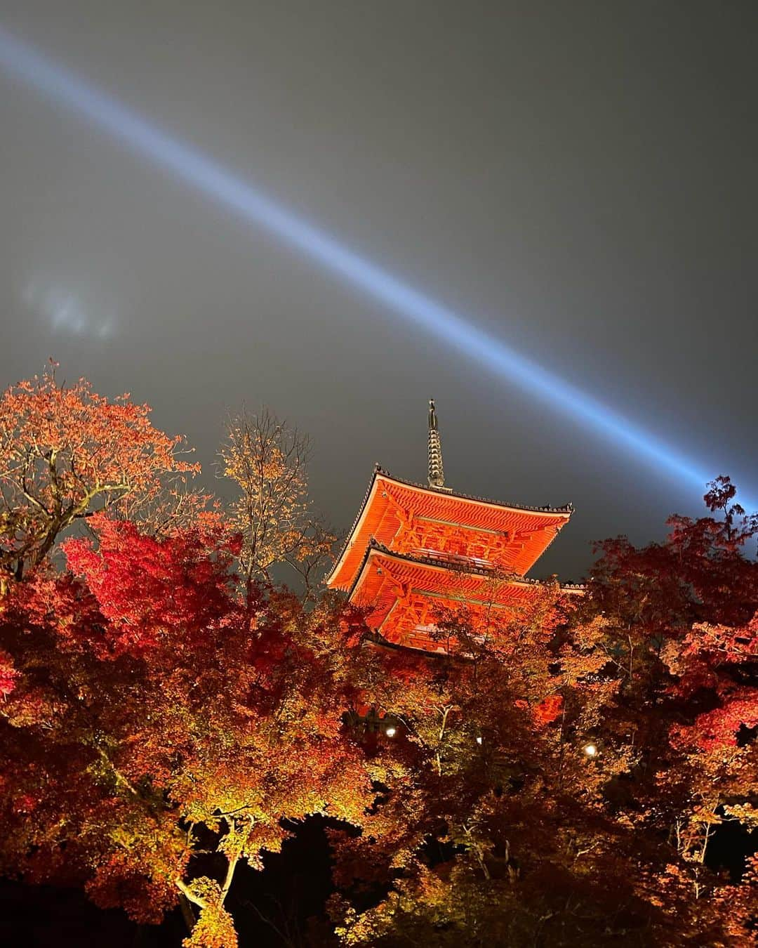 ハンナミのインスタグラム：「ひさしぶりの京都 🌛✨🍂  ライトアップ綺麗だった〜♡」