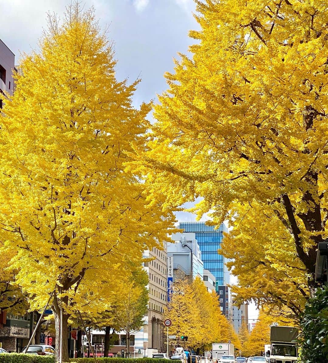 江口寿史さんのインスタグラム写真 - (江口寿史Instagram)「杜の都にいる。」11月30日 15時44分 - egutihisasi