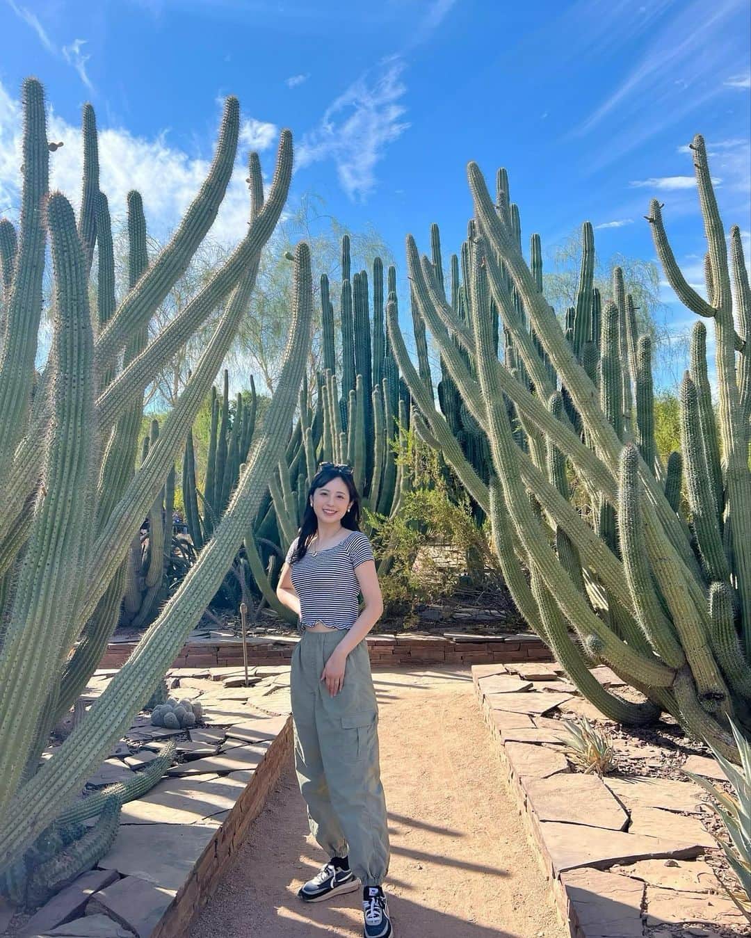 久慈暁子さんのインスタグラム写真 - (久慈暁子Instagram)「* 最近見た植物たちと Desert Botanical Gardenのランチ🌵🌞🌼 毎日快晴であたたかく 過ごしやすいです。 私の知っている限り 9月以来、雨が降っていません🪴笑 * #desertbotanicalgarden  #cactus #arizona」11月30日 15時44分 - kuji_akiko