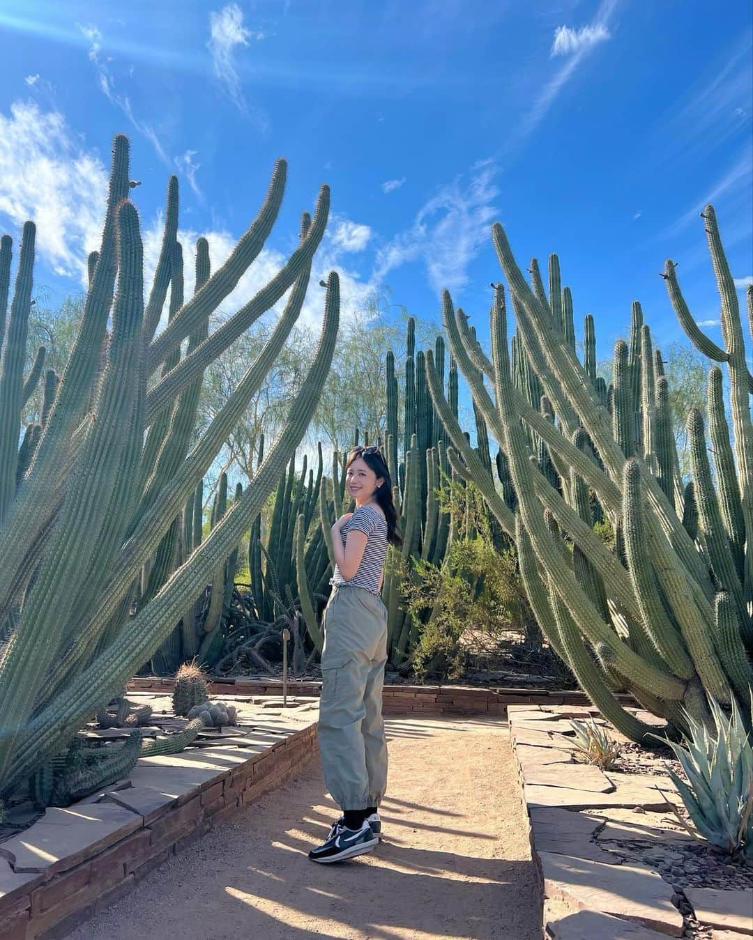 久慈暁子のインスタグラム：「* 最近見た植物たちと Desert Botanical Gardenのランチ🌵🌞🌼 毎日快晴であたたかく 過ごしやすいです。 私の知っている限り 9月以来、雨が降っていません🪴笑 * #desertbotanicalgarden  #cactus #arizona」
