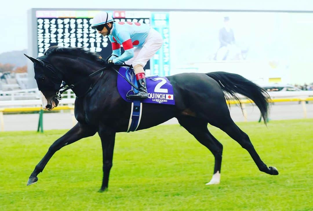 クリストフ・ルメールのインスタグラム：「Merci champion ! Déjà une légende ! #equinox #jra #ルメール #championhorse」