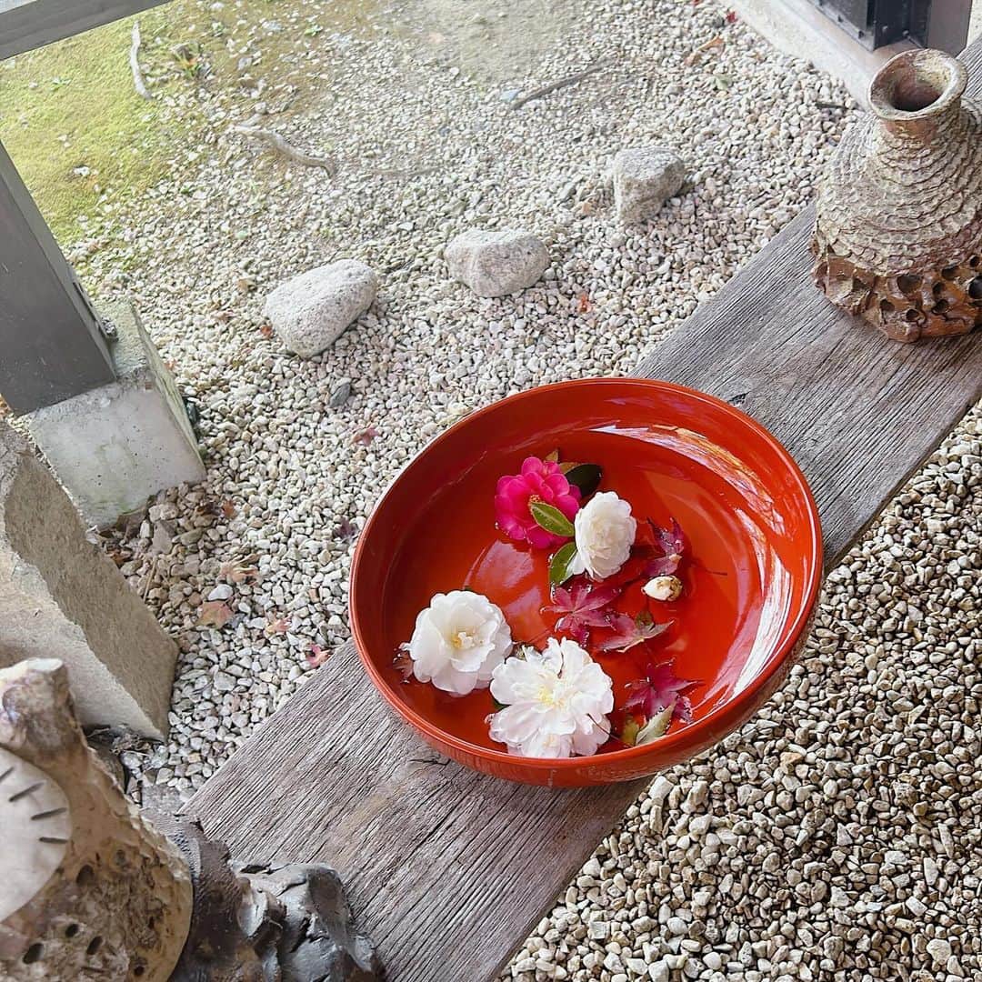 SPARAさんのインスタグラム写真 - (SPARAInstagram)「奥山の天小屋さんへ 前回タイミング合わず定休日だったので、やっと行けて嬉しい🍁 ランチがお得で沢山食べちゃいました♡ 美味しかった😋遠いけとまだ行きたい場所♪ 夏はかき氷も食べに行きたい♡  @maigallery_official  @eriko_music  @hideakimorizono  9月と11月の全員の誕生日プレゼントって事で森じぃがご馳走してくれた♡いつも有難う♪  天小屋 浜松市北区引佐町的場275-2 @amagoyaokami」11月30日 16時11分 - spara_aco