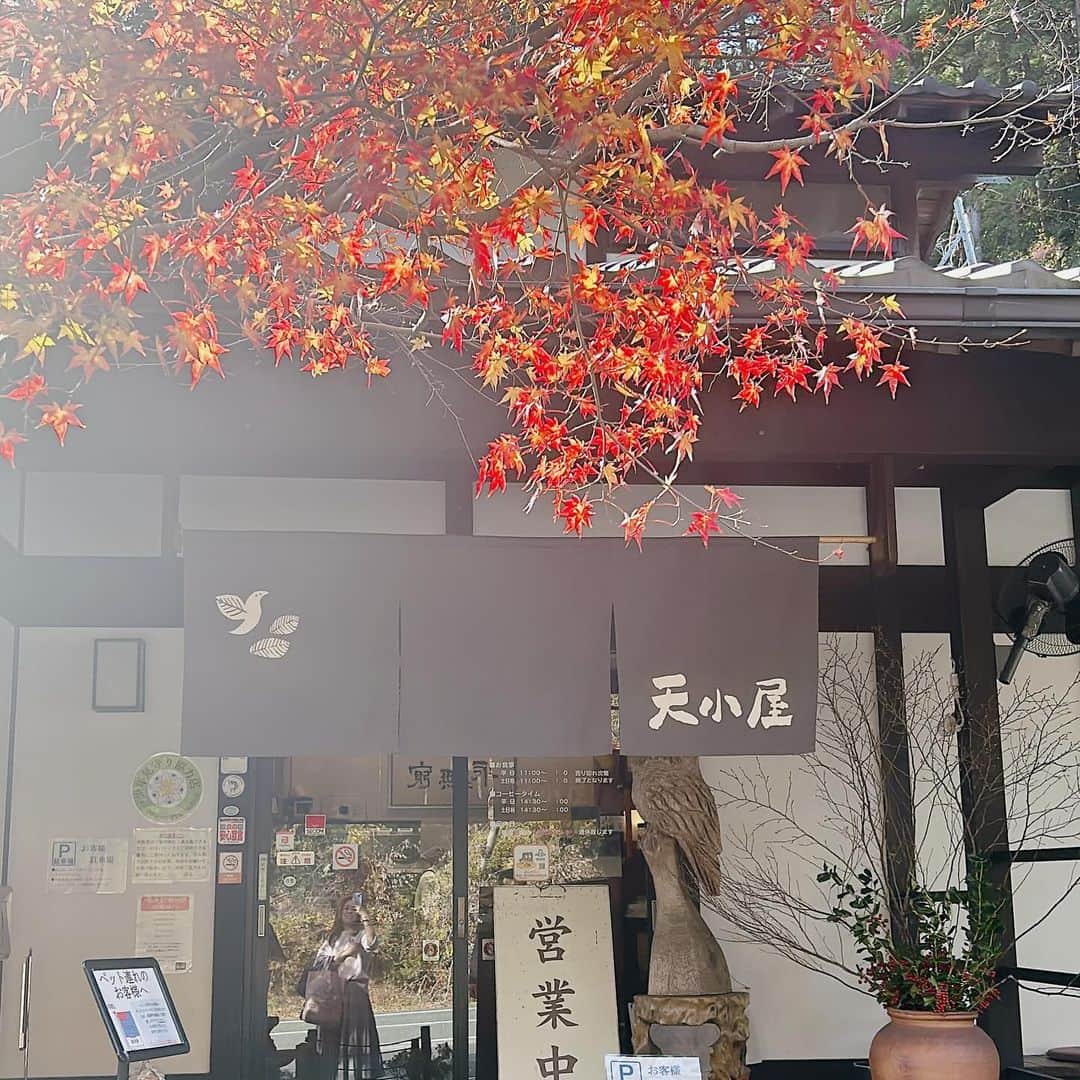 SPARAのインスタグラム：「奥山の天小屋さんへ 前回タイミング合わず定休日だったので、やっと行けて嬉しい🍁 ランチがお得で沢山食べちゃいました♡ 美味しかった😋遠いけとまだ行きたい場所♪ 夏はかき氷も食べに行きたい♡  @maigallery_official  @eriko_music  @hideakimorizono  9月と11月の全員の誕生日プレゼントって事で森じぃがご馳走してくれた♡いつも有難う♪  天小屋 浜松市北区引佐町的場275-2 @amagoyaokami」