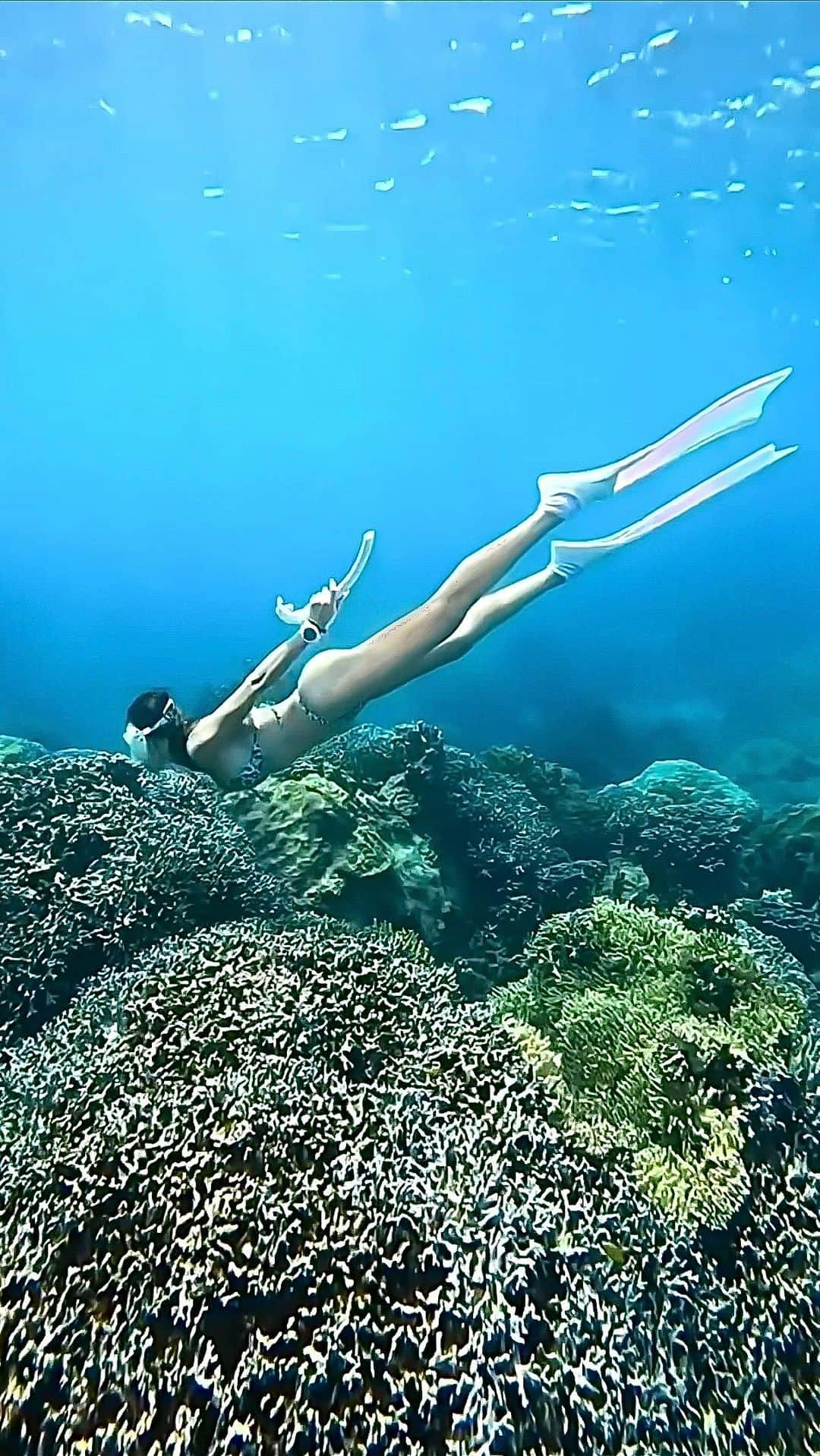 山崎みどりのインスタグラム：「skin diving🧜🏽‍♀️🧜🏽‍♀️🧜🏽‍♀️🧜🏽‍♀️ 🏝️宮古島　 Miyako island  肉眼で 至近距離で 🪸や🐟を見たい🤭  Movie by @insta_haam  　 ──────────────────────────  #🪸#divinglife #divingphoto #divingtrip#無人島#海遊び#スキンダイビング#skindiving #longfin #skindiver #宮古島 #ビキニ #ブラジリアンビキニ #bikini #水着　#ビキニ女子 #sealovers #水着女子」