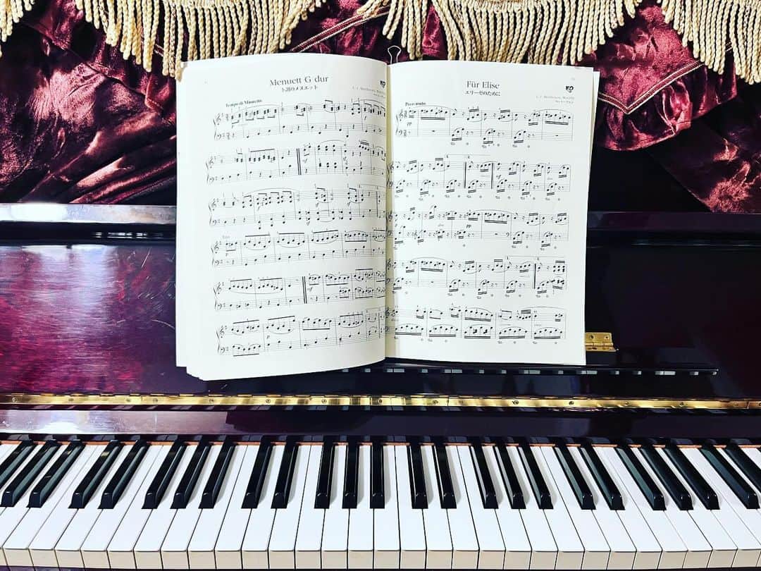 浅川稚広さんのインスタグラム写真 - (浅川稚広Instagram)「ここ最近、6歳の娘が急にピアノ🎹に目覚めて、朝起きてすぐにピアノを弾くようになった。 小5の息子が昔使っていた楽譜を使って、少しずつドレミと指の動きを教えてあげていたら、なんだか久しぶりに私も弾きたくなって、譜面広げて🎼無心に弾いていると、あっという間に時間⏳が経ってしまう。 私も小学生の時に習い始めて、『エリーゼのために』をいつか弾けるようになりたいと思って、本当に弾けるようになって、それを区切りとして、ピアノを辞めて、芸能界に入った事を思い出す。今になって、もう少し続けたかったなぁと思ってみたりもするけれど、こうして家事＆育児の合間の息抜きに弾くのもまたいいなと思う事にした。  小学生だった当時、全く練習せずにレッスンに行って、伸びた爪もお教室で切らせてもらって。そんな怠け者の私に根気良く付き合ってくれた優しくてユーモラスな中川先生に感謝🥲🌟 その時に聴音も習った事で、今でも何か曲がかかるとすぐにドレミに変換して歌えるようになったのも、中川先生のお陰。懐かしい🎶 ドレミファソラシドが弾けるようになったら、近くのピアノ教室に通わせてあげるのも良いカモ🦆♪  #ピアノのある暮らし  #６歳の娘とピアノ」11月30日 16時50分 - chiffy1110