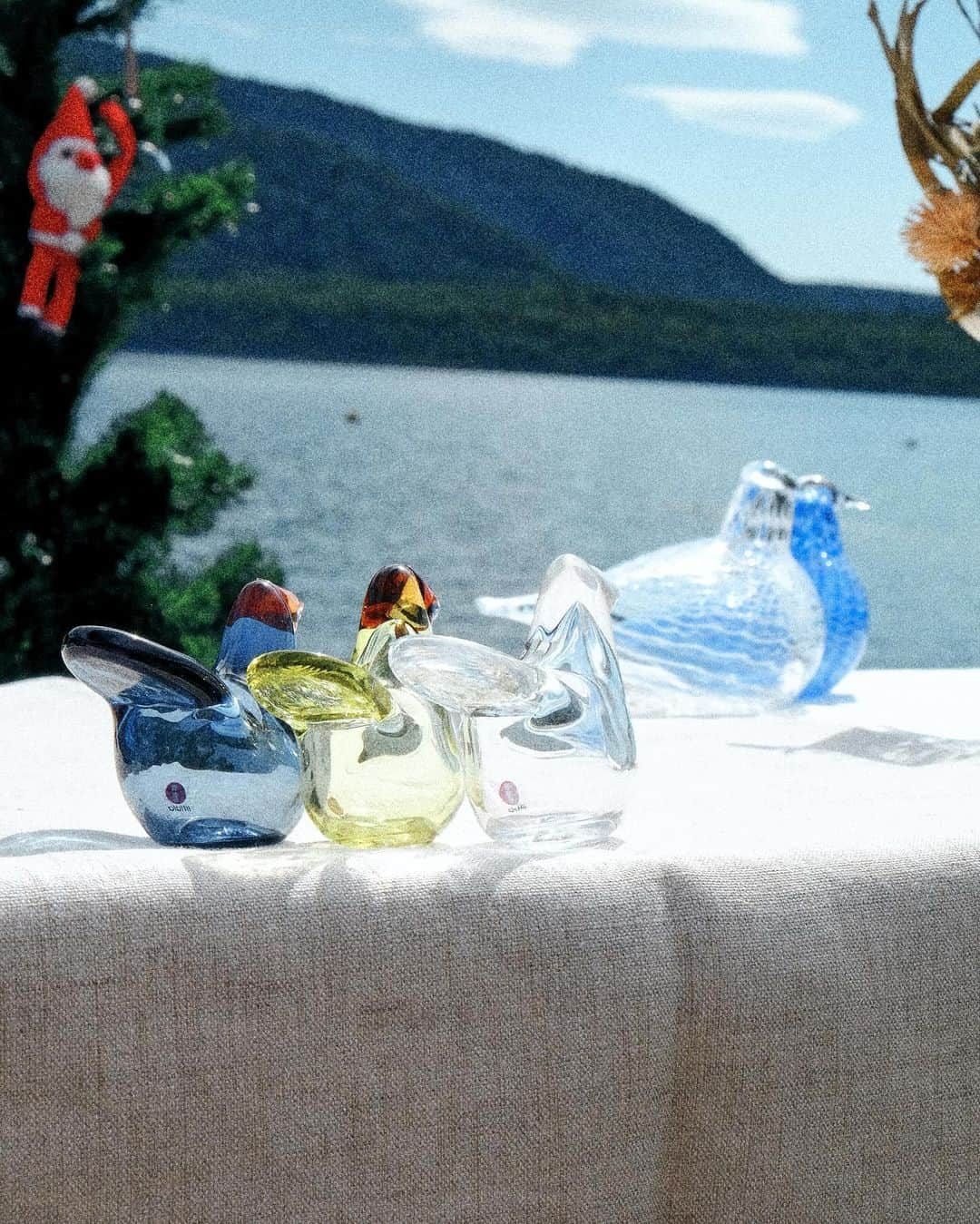 小関裕太さんのインスタグラム写真 - (小関裕太Instagram)「【IITTALA クリスマスピクニック】＊  ——————————————————  きょうは、クリスマスピクニック。 太陽にあたると、ちょっぴりあったかい。 おっとと、つま。 家族のために企てた大切な時間。  ——————————————————  #バードバイトイッカ #ルリコマドリ #メディエータードーブ　 #シエッポ　  #カステヘルミ  @iittala @iittala_japan  #イッタラ #iittala #merrymode #pr」11月30日 18時00分 - kotobanoamarinaitokoro