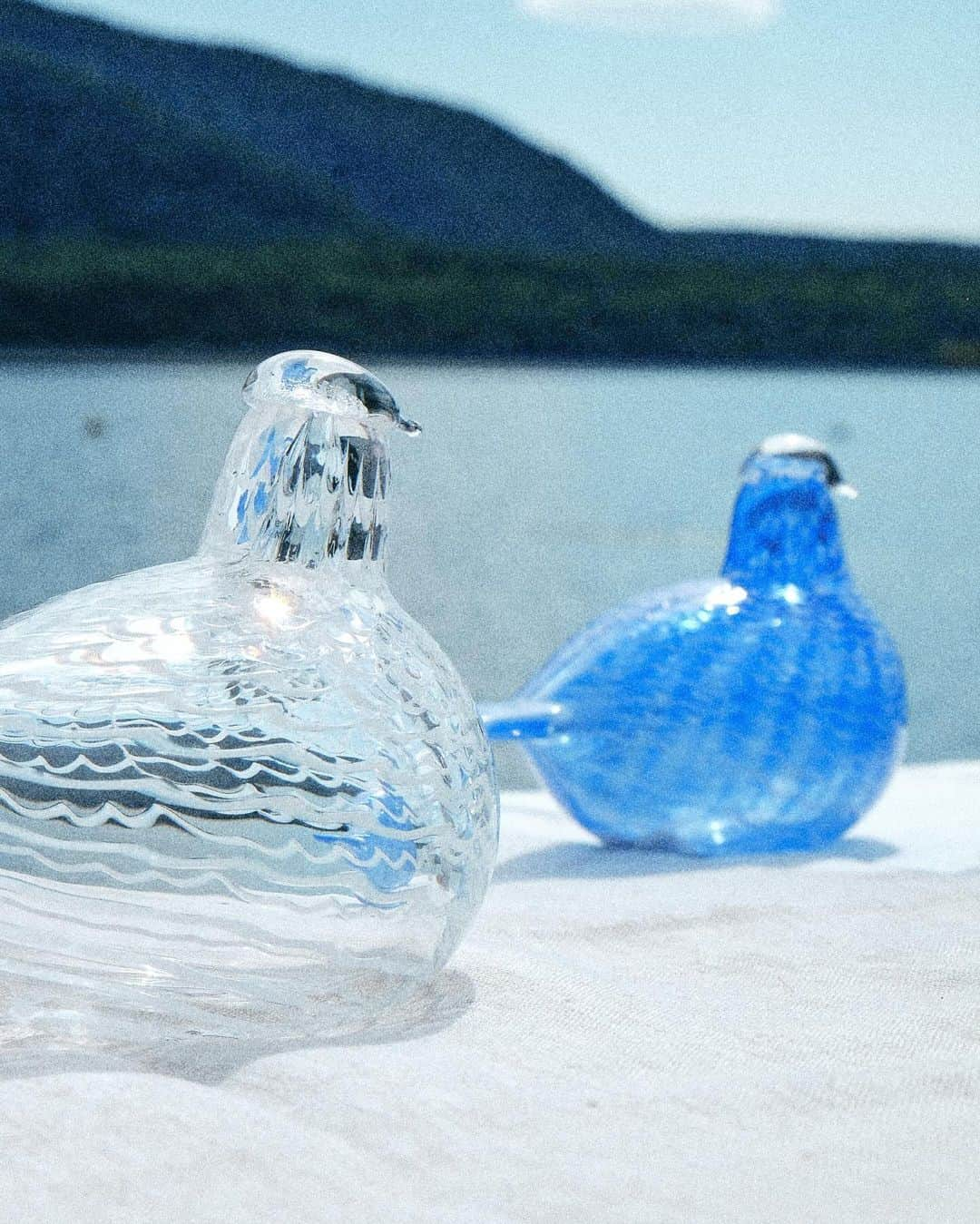 小関裕太さんのインスタグラム写真 - (小関裕太Instagram)「【IITTALA クリスマスピクニック】＊  ——————————————————  きょうは、クリスマスピクニック。 太陽にあたると、ちょっぴりあったかい。 おっとと、つま。 家族のために企てた大切な時間。  ——————————————————  #バードバイトイッカ #ルリコマドリ #メディエータードーブ　 #シエッポ　  #カステヘルミ  @iittala @iittala_japan  #イッタラ #iittala #merrymode #pr」11月30日 18時00分 - kotobanoamarinaitokoro