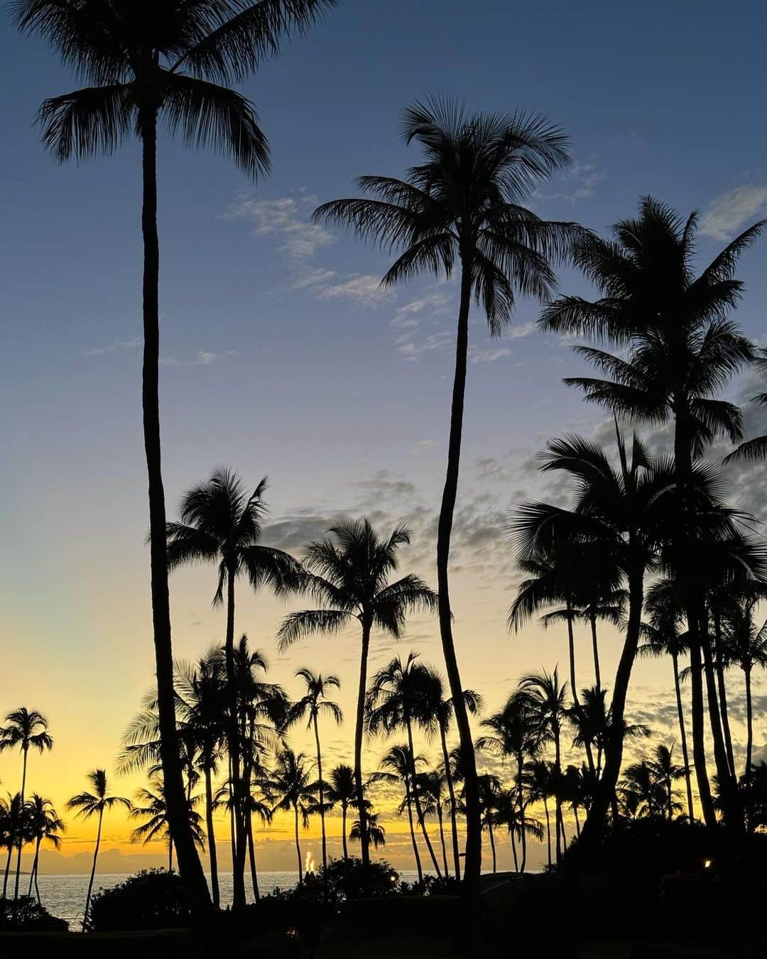 アンドレア・デンバーさんのインスタグラム写真 - (アンドレア・デンバーInstagram)「Postcards #hawaii」12月1日 2時52分 - andreadenver