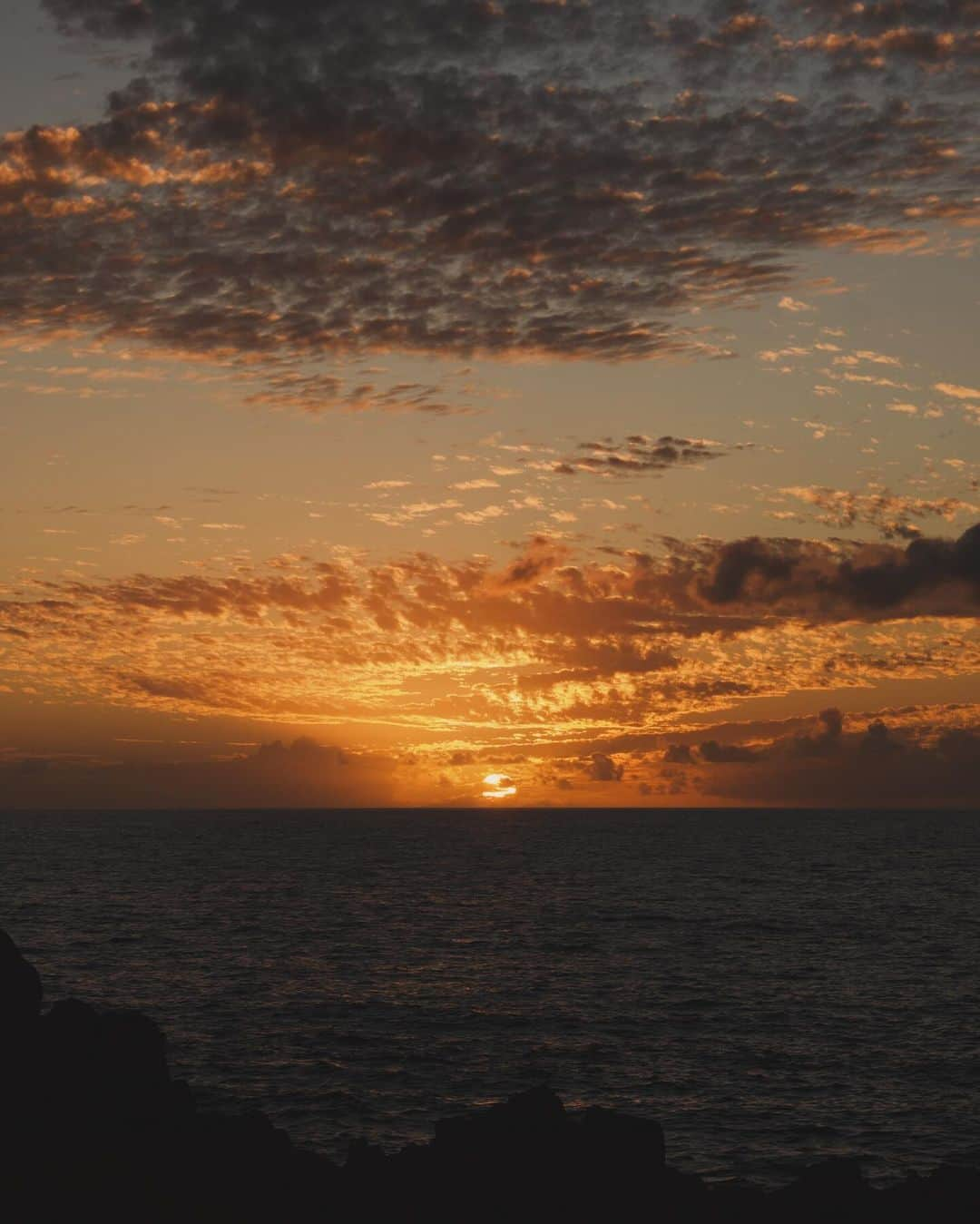 アンドレア・デンバーさんのインスタグラム写真 - (アンドレア・デンバーInstagram)「Postcards #hawaii」12月1日 2時52分 - andreadenver