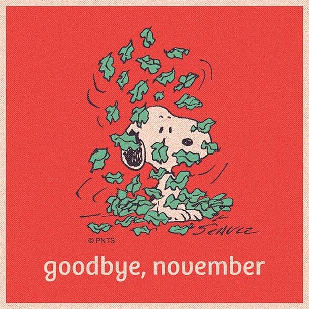 スヌーピーさんのインスタグラム写真 - (スヌーピーInstagram)「Goodbye, November!」12月1日 2時49分 - snoopygrams