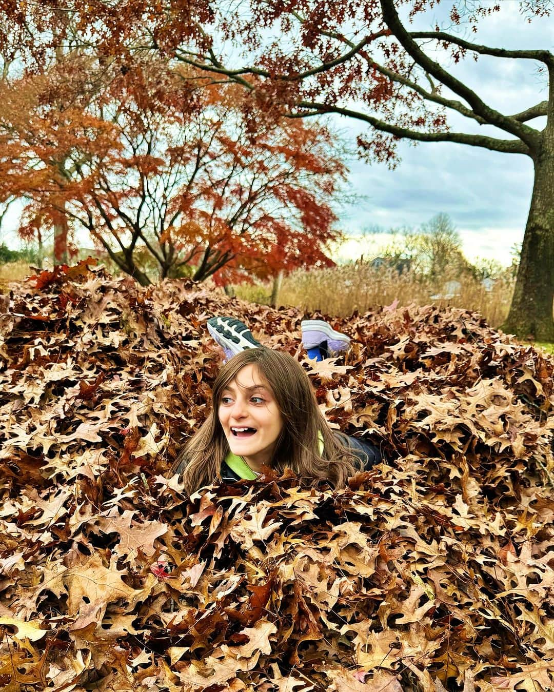 Ilana Wilesのインスタグラム：「True love is driving two hours out of the city so you can rake a pile of leaves just so your kid can destroy it. Also, someone caption the last video. Feels like a Homer disappearing into the bushes moment. 😂」