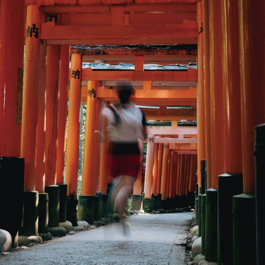 THE NORTH FACE JAPANさんのインスタグラム写真 - (THE NORTH FACE JAPANInstagram)「【LOCAL RUN PERSPECTIVE】 街がランナーの走るモチベーションを醸成させることはできるのかー 京都のローカルランナーたちの日常風景を通して、ユニークなランニングシティの魅力をにふれてみよう。 記事コンテンツはTHE NORTH FACE RUNサイトより。 https://www.goldwin.co.jp/tnf/run/columns/local-run-kyoto/  #ザノースフェイス #ランニング #RUNNING #thenorthface」11月30日 19時00分 - thenorthfacejp