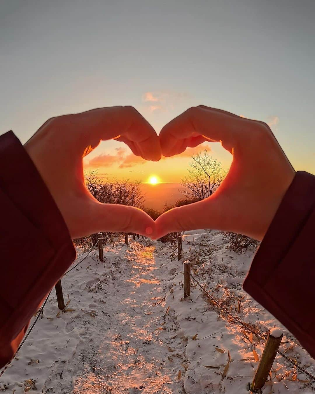 比嘉バービィのインスタグラム：「日光市にある霧降高原の美しい朝日🌅  朝4時に起きて、1445段の「天空回廊」と呼ばれる階段を登るのは思ったよりハードだったけど🫣 まさに”早起きは三文の徳”な絶景が広がっていました。  Enjoyed the breathtaking sunrise in Kirifuri Highland. Definitely it’s worth it to hike up 1445 steps to see this unforgettable moment!   そのあとは東照宮と杉並木街道へ🐒 #紅葉シーズン の日光は運転も含めとても気持ちよかった🍁 詩歩ちゃんありがとう🫶 @shiho_zekkei   1-4枚目 #霧降高原 5枚目 #日光東照宮 6枚目 #日光杉並木街道  7枚目 キレイな紅葉 8枚目 ぜひ読んでほしい  📷 1.2.5.6 → @gopro @goprojp   ※写真で見るように雪が積もっていたので、これから行く方は滑りにくいシューズで行くことを強くおすすめします🥾  #Barby旅行記 #GoProBarby #栃木 #日光 #日光観光 #朝活 #朝日 #雲海 リベンジしたい #Nikko #kirifurikogen #Tochigi #japantravel」