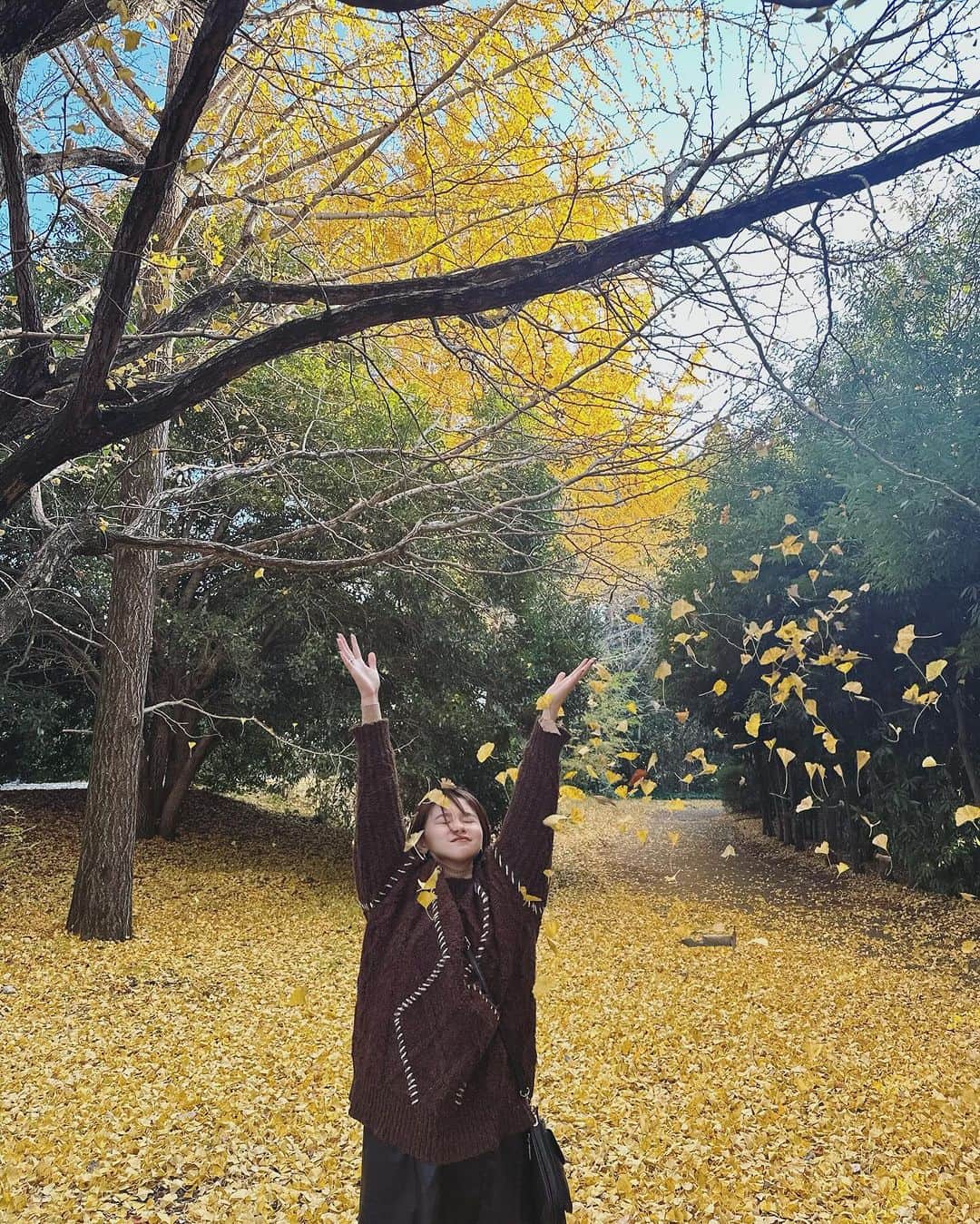 fumikaさんのインスタグラム写真 - (fumikaInstagram)「⁡ 今年の秋はもう終わったと思ってたけど ぎりぎり間に合ったみたい✨ ⁡ こんなに素晴らしい イチョウ並木見たの人生初!! ⁡ あと私は葉を舞あげるのがとても下手だ ということを知りました!! ⁡ 色とりどりの紅葉を楽しみながら 3時のおやつに 巨峰のミックスアイスとホットコーヒー🍦 ⁡ #11月も今日で最後 #あっという間だね #至福 #秋 #紅葉 #日本の四季  ⁡」11月30日 19時16分 - fumikasingasong