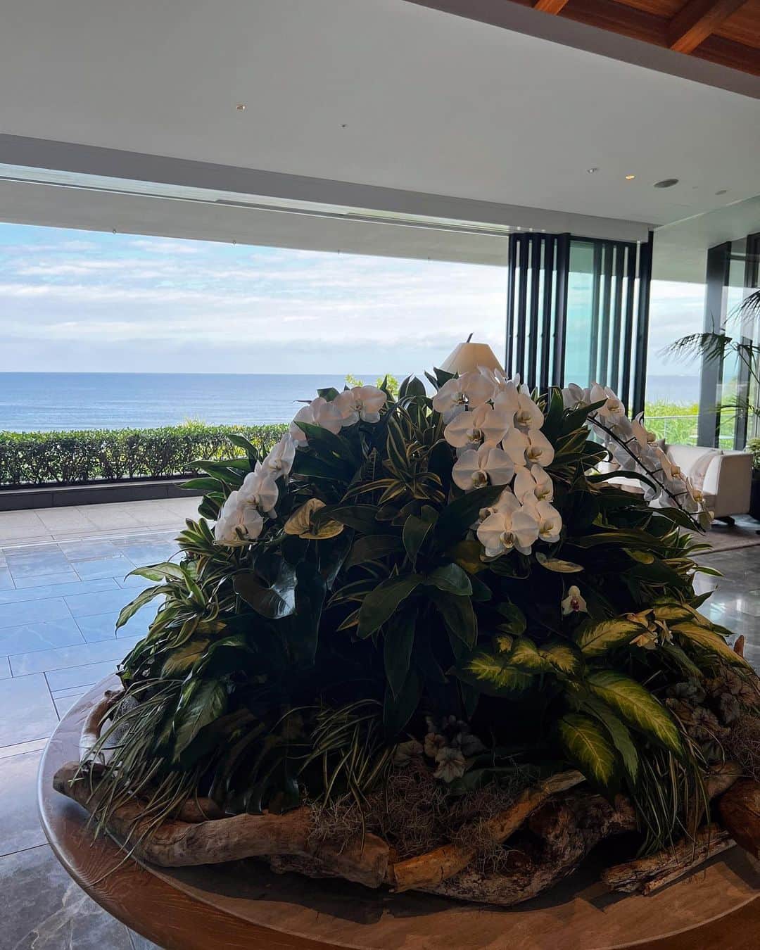 雨宮みずきのグルメインスタ