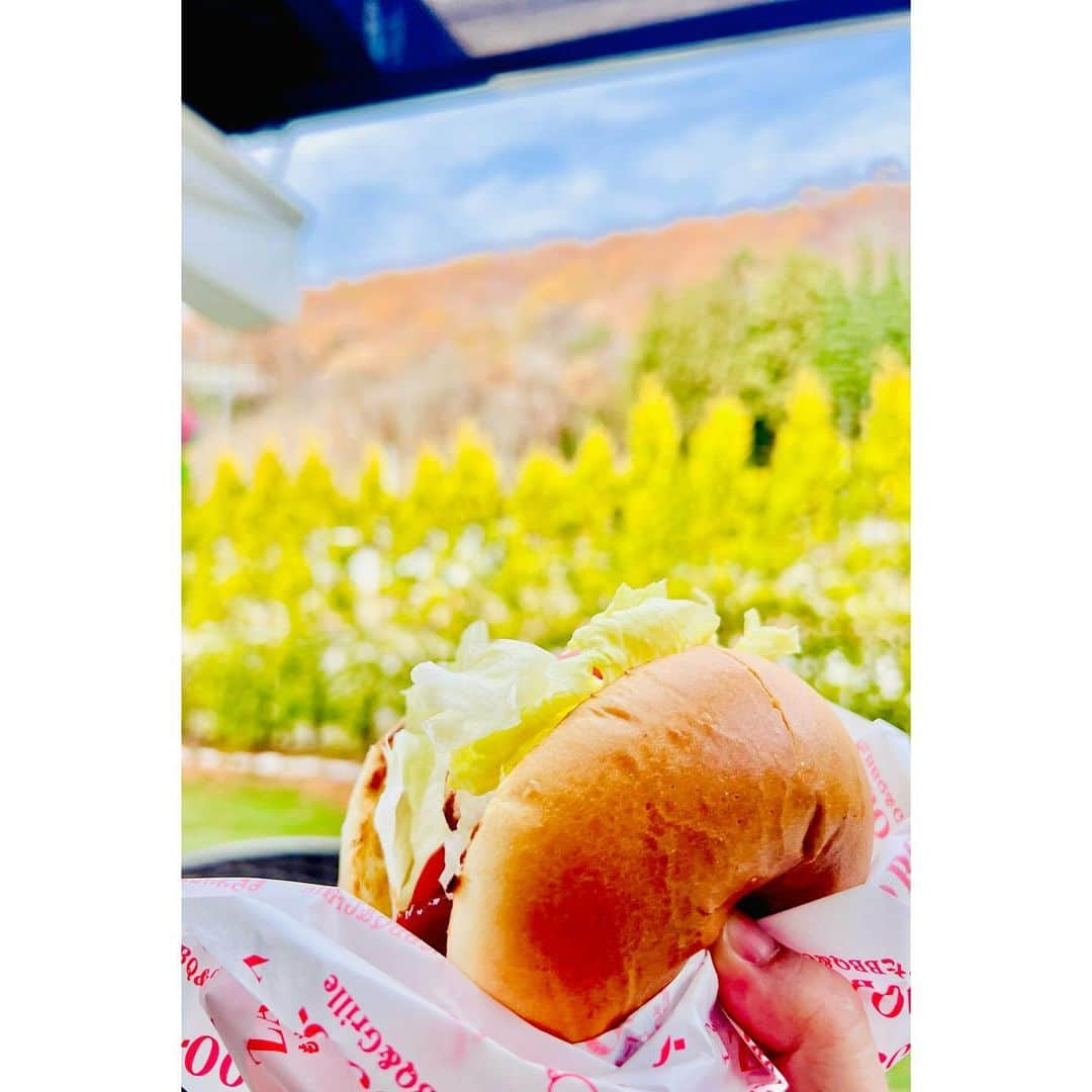 橋本千紘さんのインスタグラム写真 - (橋本千紘Instagram)「ZAO BOO 🍔🥤 ⁡ 🍁 ⁡ 明日から12月だ〜 ⁡ #SENJO #仙女 #ぎゅん #KAIBUTSU #zaobooバーガー #zaoboo  #センダイガールズプロレスリング #sendaigirlspro  #女子プロレス #プロレス #prowrestling #prowrestler #筋肉女子  #道場 #training #muscle #musclegirl」11月30日 19時26分 - chihero71