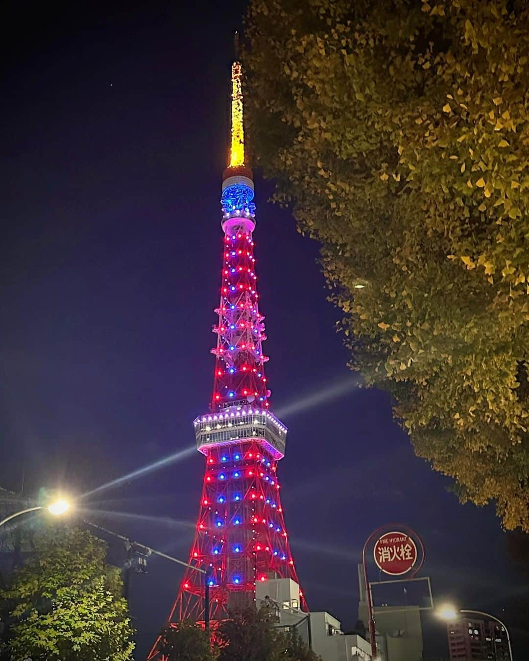 東京タワーのインスタグラム：「. 本日、11月30日は 大阪・関西万博開幕500日前です！   東京タワー🗼では500日前に合わせて 大阪・関西万博公式キャラクター 『ミャクミャク』君をイメージした 赤と青の特別カラーに ライトアップしています✨   20時まで点灯していますので お近くにいる方は、ぜひご覧ください😊  ———————————  【 お知らせ 】  ■ 公式LINE  東京タワー公式LINEでは 東京タワーのイベント情報を お届けしています！  詳細はプロフィールにあるリンクから↓ @tokyotower_official  ■ Your Tokyo Tower 🗼  # your_tokyotowerで あなたの東京タワーをリポスト！  @tokyotower_official の タグ付けをしてくれると見つけやすいよ！  皆様からの投稿 どしどしお待ちしております！  ———————————    #東京タワー #東京タワー🗼  #tokyotower #tokyotower🗼  #万博 #大阪万博  #関西万博 #ミャクミャク」