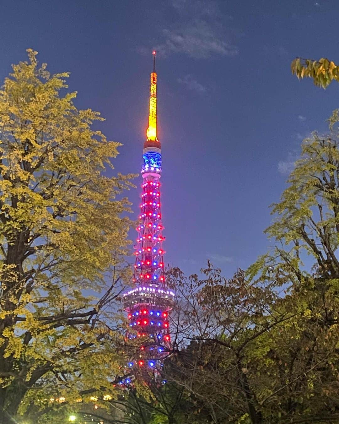 寺川奈津美さんのインスタグラム写真 - (寺川奈津美Instagram)「お！きょうの色もまたよろしくて。 #あすから12月 #あすは真冬並みのところも #きょうより厚着して #お過ごしください #今週もNHKラジオ #ありがとうございました  #今夜は暖かくして寝よ #今日も残り物の晩ごはんでごめん #あすはちゃんと作る」11月30日 19時31分 - natumikannnn