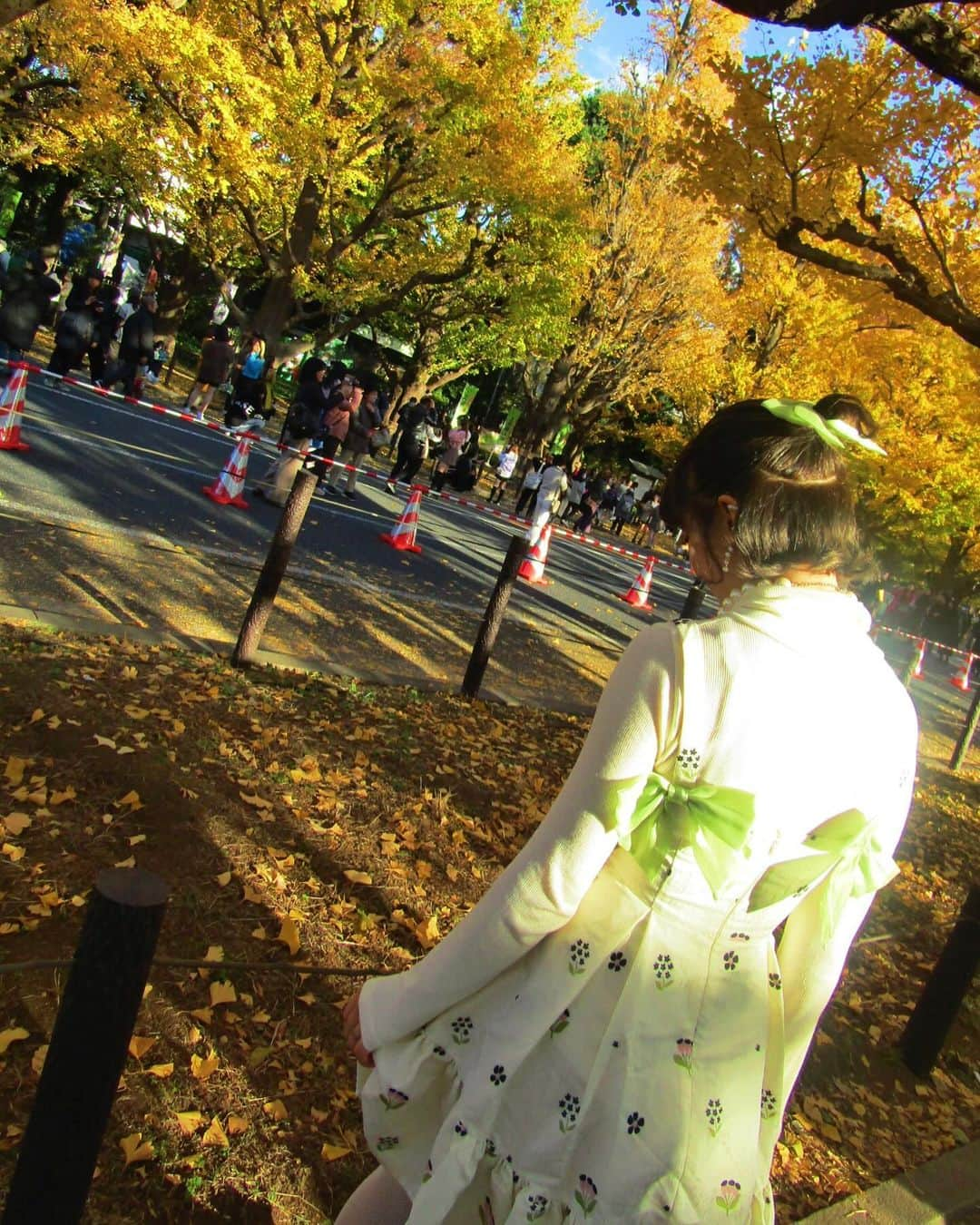 有村のぞみさんのインスタグラム写真 - (有村のぞみInstagram)「家族で紅葉見に行った日🍂🍁🎄」11月30日 19時54分 - nozomi__arimura