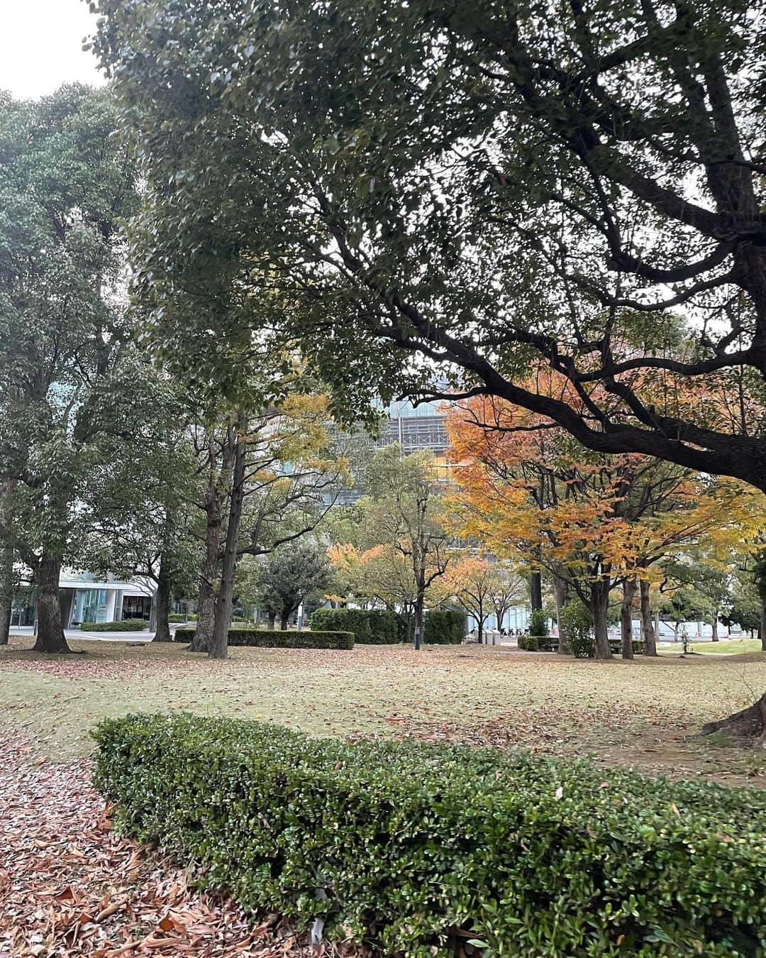 白河れいのインスタグラム：「秋と冬のあいだ。🍂☃️」