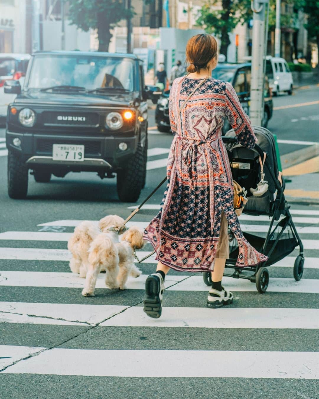 FUJIFILM INDONESIAさんのインスタグラム写真 - (FUJIFILM INDONESIAInstagram)「Fotografer @danielmardjuadi mengeksplorasi melalui kawasan Daikanyama di Jepang. Sebuah oase dan kawasan yang ramah untuk penghuni dan anak bulu mereka, kawasan ini semacam catwalk bagi penghuni dan anabul-nya setiap hari.  Keadaan tenang dan harmonis dari tempat ini, bersama dengan keberagaman penduduknya, diabadikan dengan sederhana oleh @danielmardjuadi, melalui rekaman dari Fujifilm X-H2s. Hasilnya adalah kolase indah foto-foto sehari-hari, memancarkan nada warna lembut dan ketenangan, menggambarkan kehidupan sehari-hari yang dama#fujifilmindonesia   Captured by @danielmardjuadi Using Fujifilm X-H2s  #XH2S #XH2S_id #Fujifilm_id #FujifilmIndonesia」11月30日 20時00分 - fujifilm_id