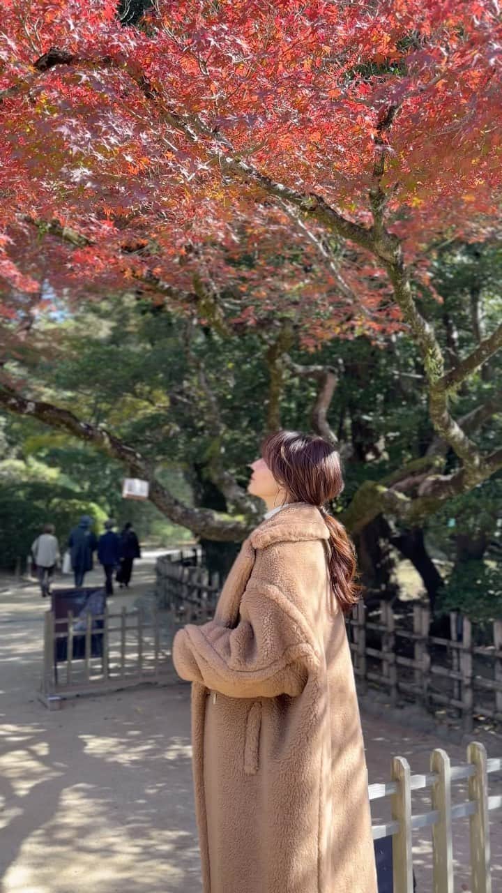 yoko178loveのインスタグラム：「🍂 今日で11月も最後。。  postできてなかった紅葉を🍁 今年も綺麗な紅に癒されました✨  coat  #maxmara  tops  #plst pants  #deuxiemeclasse  shoes  #newbalance  bag  #labagagerie × chiyo  #紅葉#autumn #coordinate#マックスマーラ#テディベア #大人カジュアル #カジュアルコーデ #スニーカーコーデ #fashion#casual」