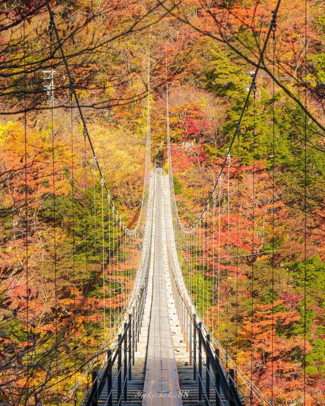 東京カメラ部公式さんのインスタグラム写真 - (東京カメラ部公式Instagram)「＼東京ガールズコレクション×静岡市が、東京カメラ部とタイアップ／ 「オクシズでみつけた私のお気に入り」フォトコンテスト2024開催！ 受賞者には、TGC/オクシズならではの素敵な賞品をプレゼント . 詳細は @tokyocameraclub_cp20 のプロフィールにあるURLから （応募締切：2024年01月18日(木) 23:59まで） ※募集期間外の投稿は対象外となりますので、ご注意ください。  . 東京ガールズコレクション実行委員会および静岡市と東京カメラ部のタイアップ企画として、【「オクシズでみつけた私のお気に入り」フォトコンテスト2024 ～静岡市×SDGs推進 TGC しずおか 2024×東京カメラ部～】を開催します。 . オクシズ（静岡市中山間地域・奥静岡）の魅力を写した写真をぜひ、ご応募ください！ . 「オクシズ」とは…？ https://www.okushizuoka.jp/about/ . 応募は簡単！静岡市まちは劇場Instagramアカウント（ @onstageshizuoka  ）と「東京カメラ部」キャンペーン用Instagramアカウント（ @tokyocameraclub_cp20 ）をフォローし、募集期間内（2023年11月30日(木) ～ 2024年01月18日(木) 23:59）に、指定のハッシュタグ（ #オクシズでみつけた私のお気に入り ）をつけて投稿するだけで応募完了です。 . 受賞者には、一日一組限定の一棟貸し別荘の宿泊券などの豪華賞品をプレゼント！撮影機材は問いませんので、皆さまの素敵な写真をぜひご応募ください。<PR>  . フォトコンテストの詳細は @tokyocameraclub_cp20 のプロフィールにあるURLから . ※作品投稿時、または投稿から24時間以内、かつ応募期間中に指定のハッシュタグをつけてください。 InstagramのAPI変更によって、投稿後24時間を過ぎた過去の投稿に指定のハッシュタグをつけていただいても、Instagram API経由で作品のダウンロードができないため審査対象とできなくなりました。作品を弊社システムがInstagram API経由でダウンロードできたもののみが審査対象となります。（ダウンロードできたかどうかのお問い合わせはご容赦ください） ※本アカウント、本企画は東京カメラ部がFacebook、Instagramのサービスを利用して運営しているもので、Meta社・Instagramとは一切関係ありません。 . ※作品：八木隆行さん @takayuki88yagi」11月30日 20時30分 - tokyocameraclub