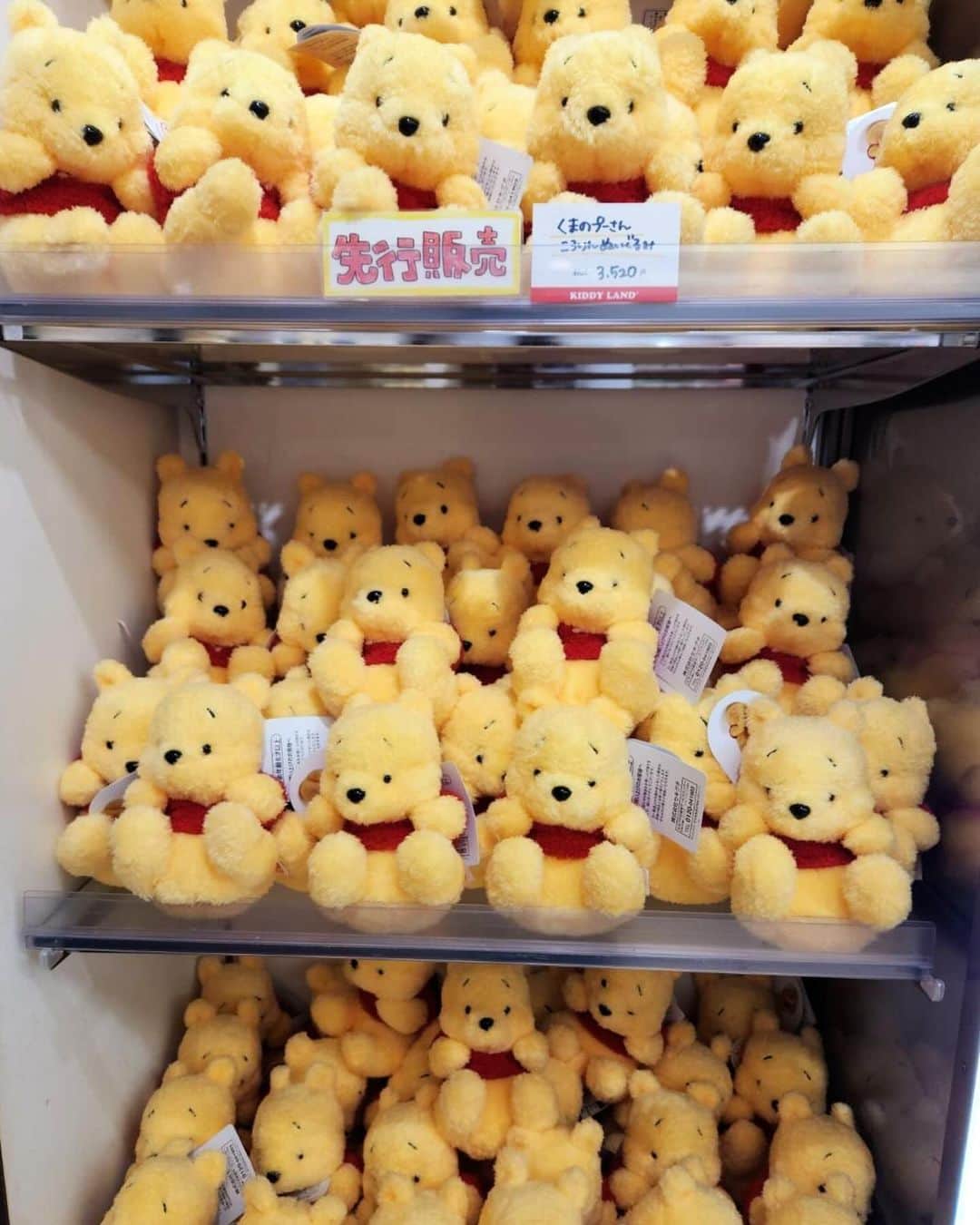 KIDDY LAND officialのインスタグラム：「両手に可愛く収まるキュートなヌイグルミ🧸 ころりんプーさんが先行発売♡ 税込3,520円 キデイランド 先行期間2023年12月1日〜12月7日まで （一般は12月18日より順次発売予定） ▼取扱店舗▼ ディズニーアベニュー東京駅店 原宿店2Ｆ 大阪梅田店 二子玉川店 港北ニュータウン店 ららぽーと湘南平塚店 池袋サンシャインシティ店 神戸店 ピオレ姫路店 光が丘店 宇都宮店 ららぽーと富士見店 浦和美園店 吉祥寺店 清水店 上小田井店 ららぽーとEXPOCITY店 高松店 京都四条河原町店 福岡パルコ店 鹿児島店 アミュプラザおおいた店  #disney #kiddyland #winnethepooh  #ディズニー #キデイランド #くまのプーさん #ぬいぐるみ #セキグチ」
