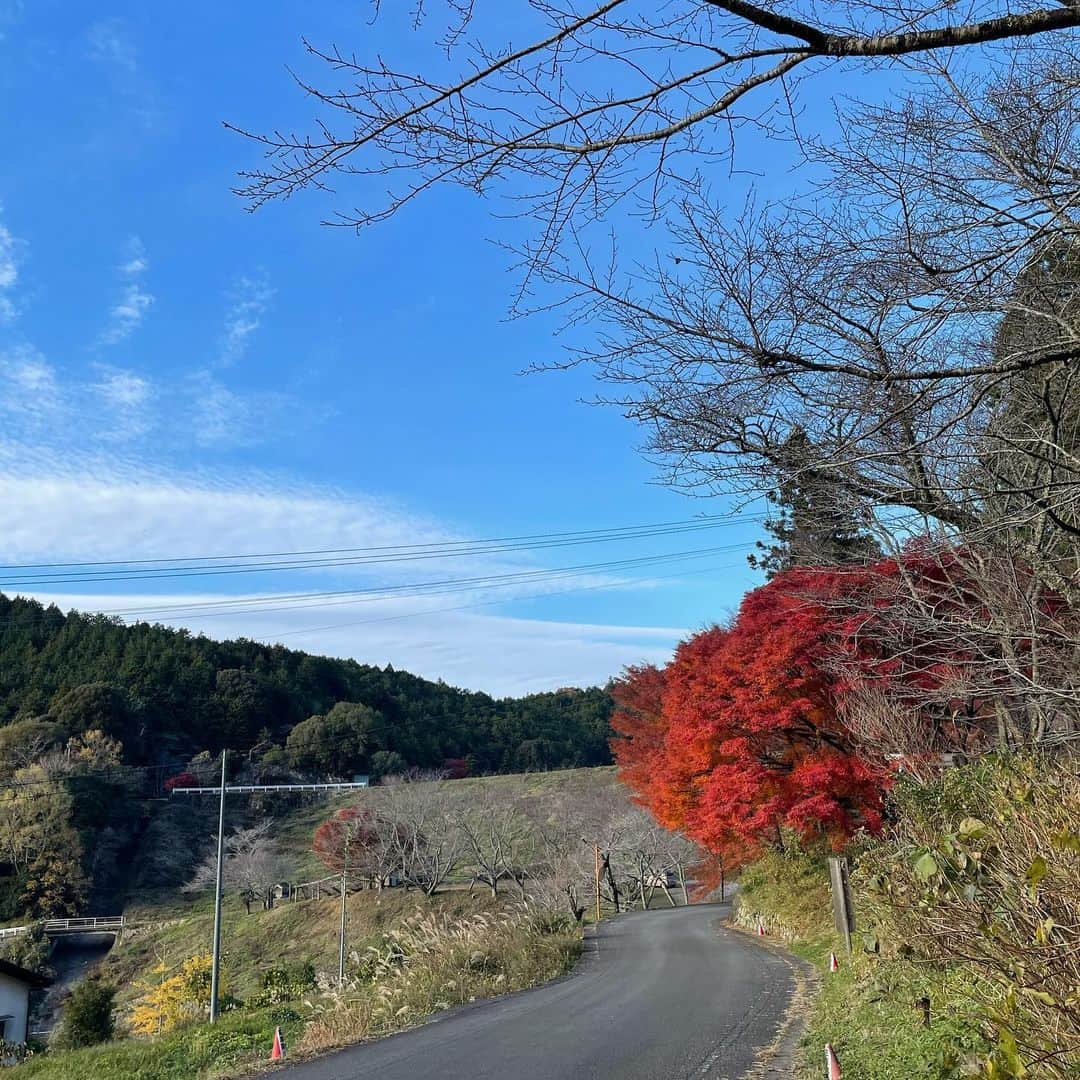 山田あかりさんのインスタグラム写真 - (山田あかりInstagram)「四国八十八景に選ばれている #こけむしろ ってカフェに行ってきたよ🥰♥  自然がいっぱいで紅葉も綺麗だった♥ 水が流れる音、木々が揺れる音ぜんぶ好きだなー🌳🍃 癒されながらお抹茶とデザートを頂いたよ🍨🍓  癒されたい人、ぜひ音ありできいてみてね♡ 自然、大好き🐰🌱𓂃 𓈒𓏸  四国に旅行に来た人、四国に住んでる人は行ってほしい場所🏠 私たちは15時くらいに行ったんだけど、 デザートのシフォンケーキがラスト1つずつだったから 行く人は早めがおすすめ！  🐑💤月曜日 🏠火～日曜日営業 ⏰10:00-17:00 📍愛媛県西予市宇和町信里2099  トップス＆ベルト @shein_japan  ベルト ID:12982219 しっかりした素材でキラキラがかわいい😍 407円だったよ！  トップス ID:20872696 1826円 ちょっぴりセクシーでかわいい🐰 生地はもちもちしてて高みえすると思う！  クーポンコード♥️23BF79 ※0-5999円で15%オフ 6000円以上のご購入で20％オフ 利用期限:2023年11月10日〜2023年12月31日 ※SHEINアカウント１つにつき三回までクーポン使えるよ！  スカート @grl_official   #AD #こけむしろカフェ #四国八十八景 #苔筵 #苔が好き #癒される風景 #癒される場所 #愛媛観光 #愛媛カフェ #愛媛旅行 #四国旅行 #四国カフェ #こけむしろ行きたい #カフェ巡り #自然が好きな人と繋がりたい #SHEIN #sheinクーポン #grl #グレイル #ブルベ夏コーデ #ブルベ冬コーデ」11月30日 21時04分 - akari030201