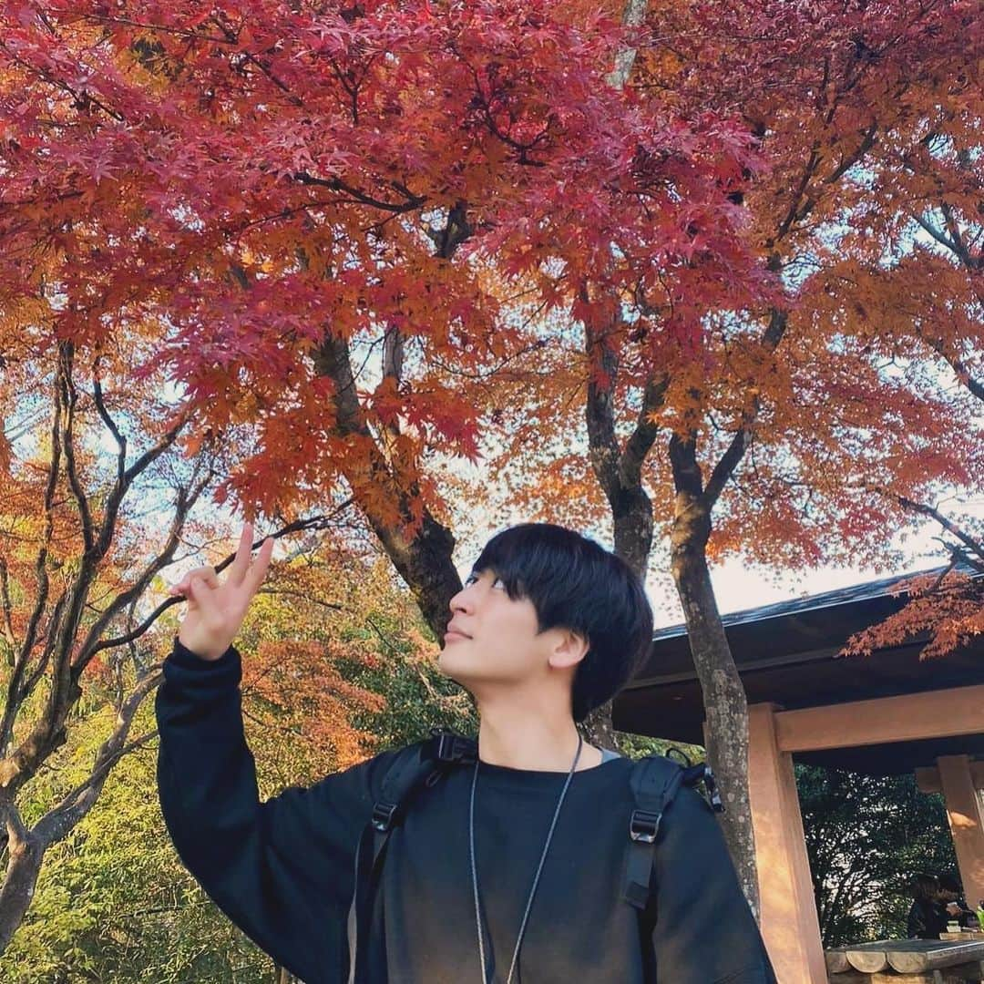 山下航平のインスタグラム：「紅葉狩り🍁🍁  果たして紅葉を「狩る」とはどういうことなのか。」