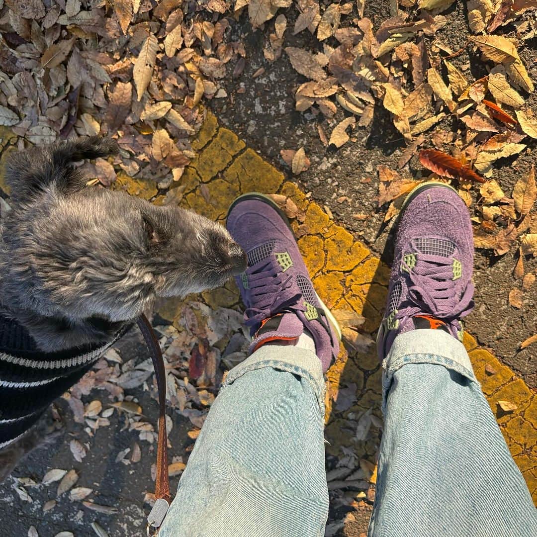 中田クルミのインスタグラム：「👟」