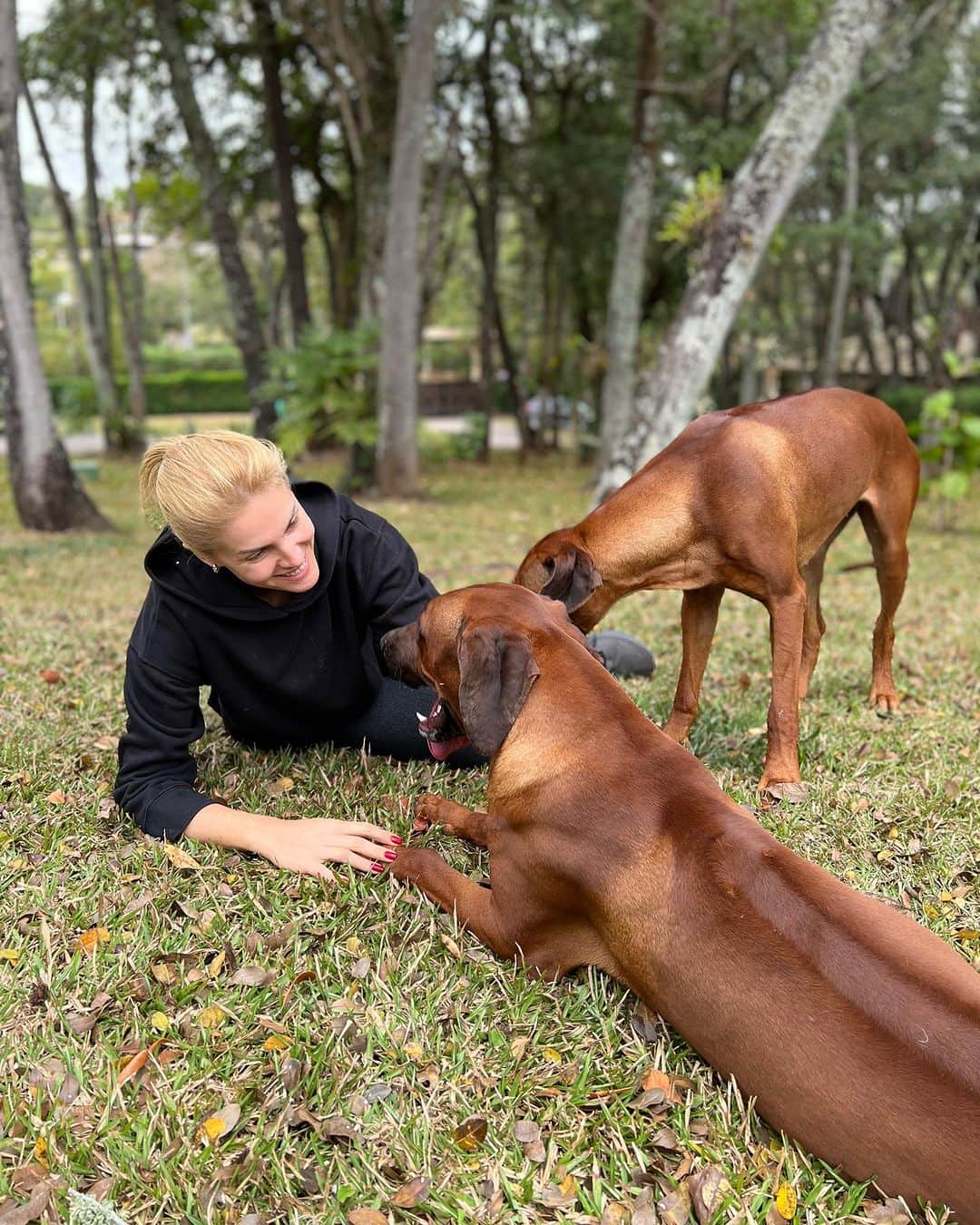 Ana Hickmannのインスタグラム：「Eu tenho super-heróis em casa, que cuidam de mim e de muitos outros doguinhos 🦸🏻‍♂️🦸🏻‍♀️!!! A Diva, Diana, Esmeralda e o Tatuí são doadores de sangue e ajudam muitos cachorros que precisam, na @inovahospitalveterinario. Assim como nos humanos, essa atitude linda pode salvar vidas! ❤️  Para se tornar um doador, seu pet precisa preencher alguns pré-requisitos: ✅ Estar saudável; ✅ Pesar no mínimo 25 kg (cão) e 4 kg (gato); ✅ Idade entre 1 a 7 anos (cão) e 1 a 6 anos (gato); ✅ Vacinação e Vermifugação em dia; ✅ Não estar no cio, gestante ou lactante (fêmeas).  A saúde do animal é de extrema importância para o sucesso da doação. Seu histórico completo deve ser fornecido pelo tutor antes de cada doação.  Saiba mais no perfil @inovahospitalveterinario  #inovahospitalveterinario #pets #goldenretrivier #doaçãodesangue #petdoador #rhodesianbrasil #rhodesianridgeback #canilhickmannridgehunter」