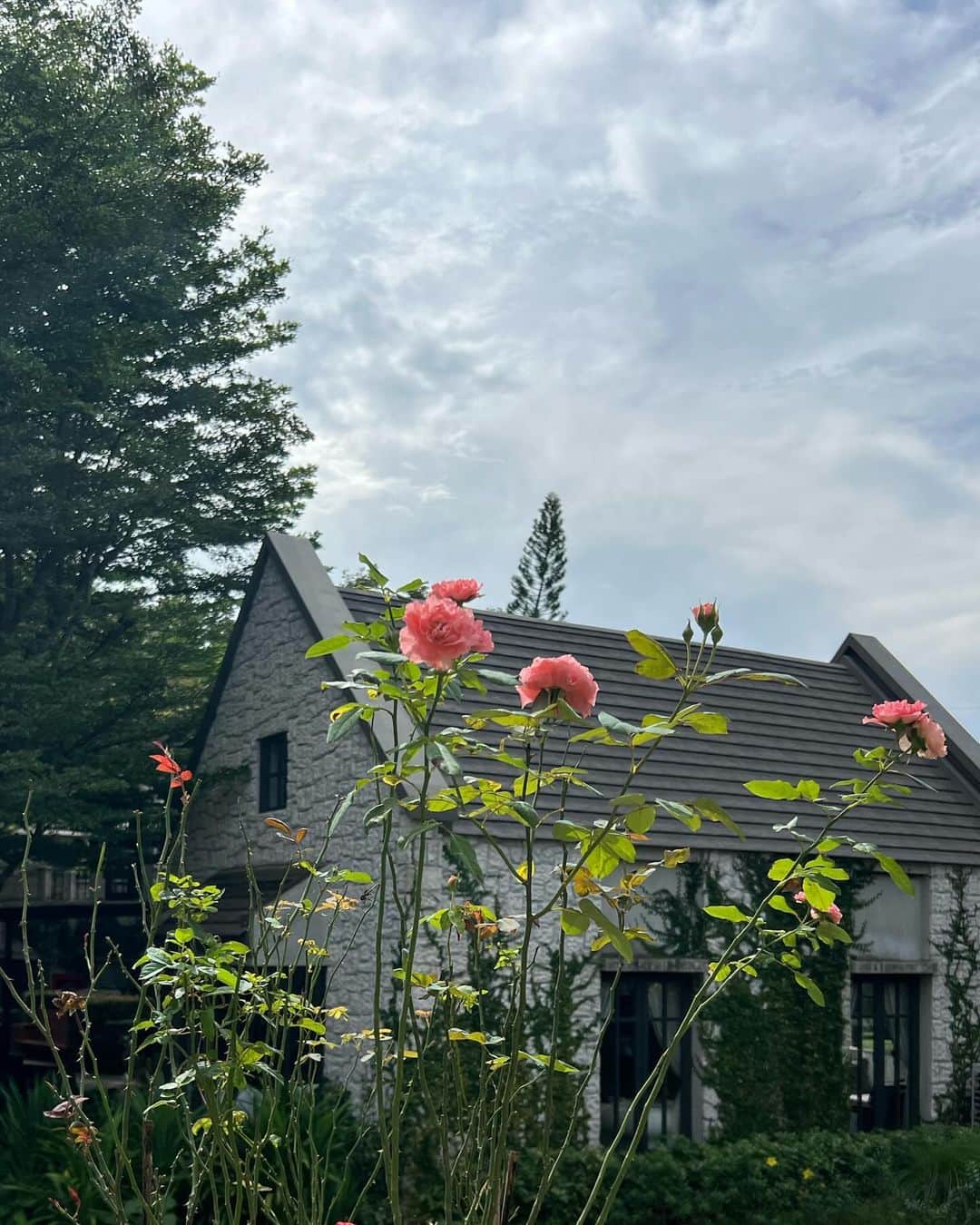 イプシー・キーラティのインスタグラム：「🍃 🤍」