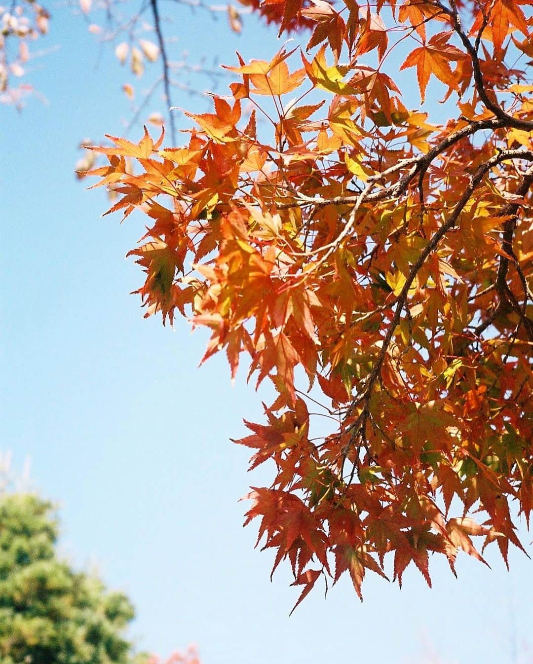 田中大貴さんのインスタグラム写真 - (田中大貴Instagram)「T3」11月30日 21時18分 - daiki.tanaka24