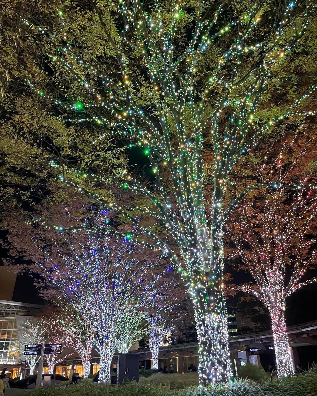 田原萌々さんのインスタグラム写真 - (田原萌々Instagram)「.  六本木のイルミネーション🎄🤍✨  見てるだけで わくわくっ♡  #きらきら大好き #輝くもの #すき #女の子あるある 🥹 #クリスマス#クリスマスツリー#キラキラ#きらきら#ツリー#イルミ#イルミネーション#xmas#christmas#christmastree#六本木#六本木ヒルズ#テレビ朝日#テレ朝#アナウンサー#テレビ朝日アナウンサー#田原萌々#christmas#christmastree#christmastime#merrychristmas#merryxmas#xmas#merrymerrychristmas#illumination#illuminationentertainment」11月30日 21時19分 - tahara_momo